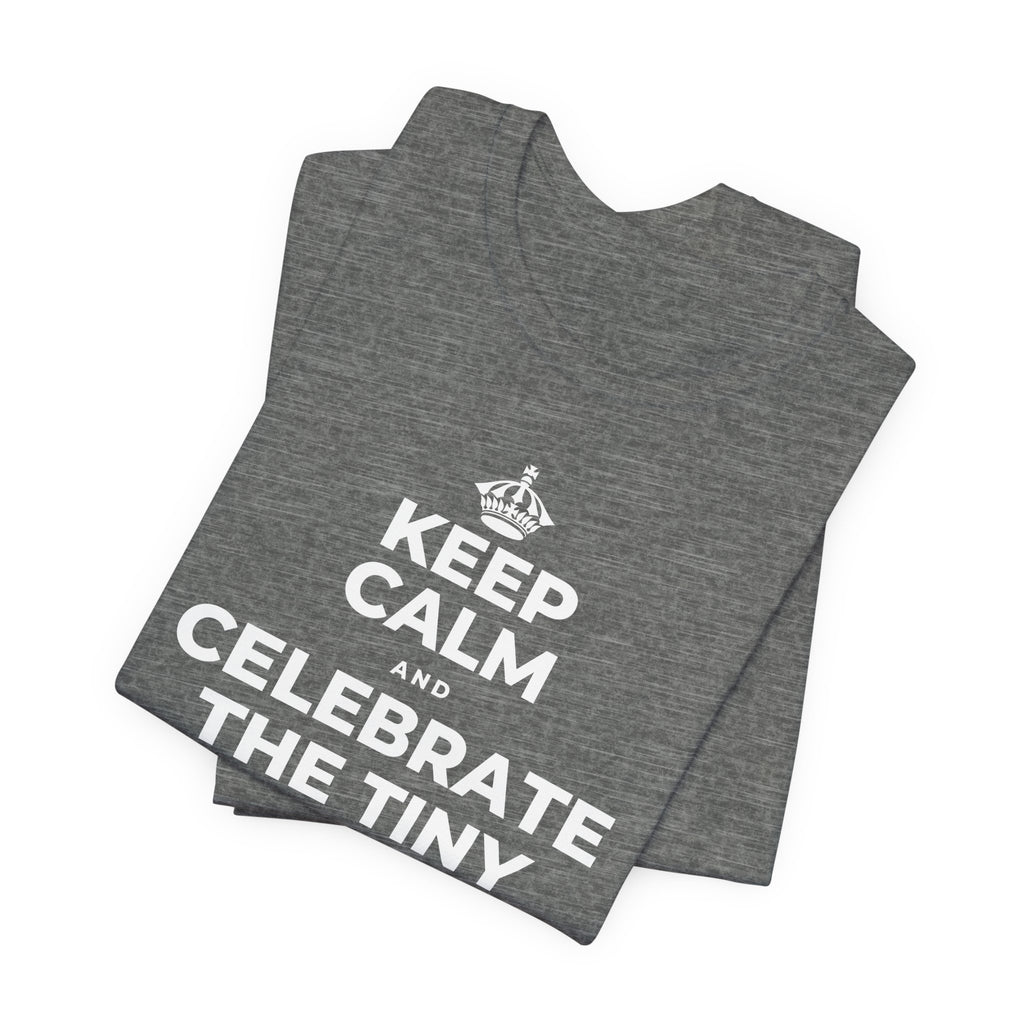 KEEP CALM AND CELEBRATE THE TINY VICTORIES EVERY SINGLE DAY T-Shirt (Baby Blue–Silver)