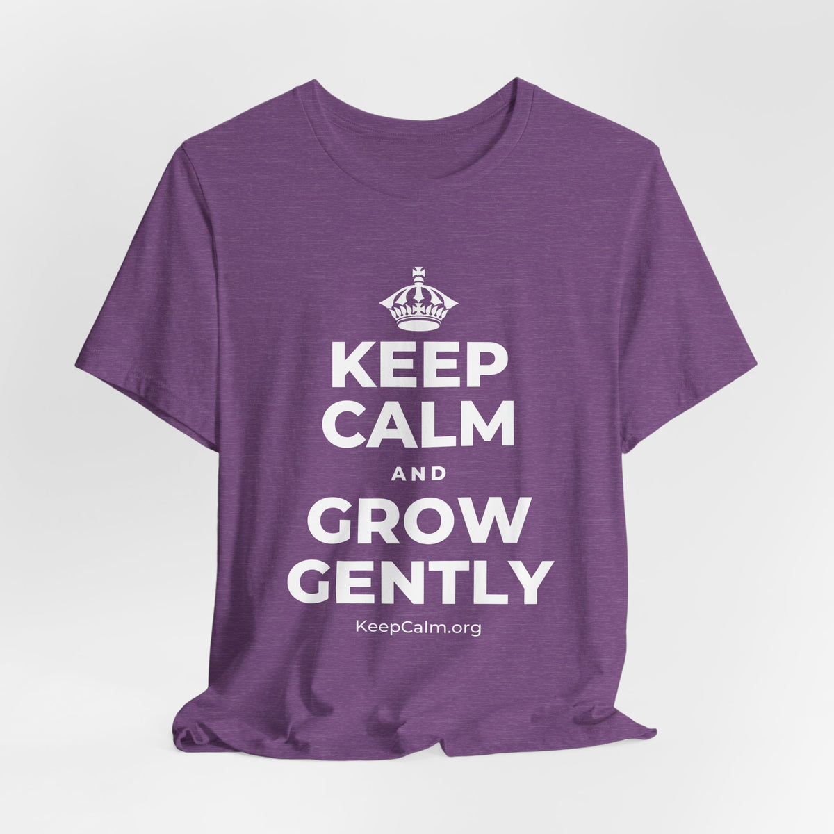KEEP CALM AND GROW GENTLY T-Shirt (Baby Blue–Silver)