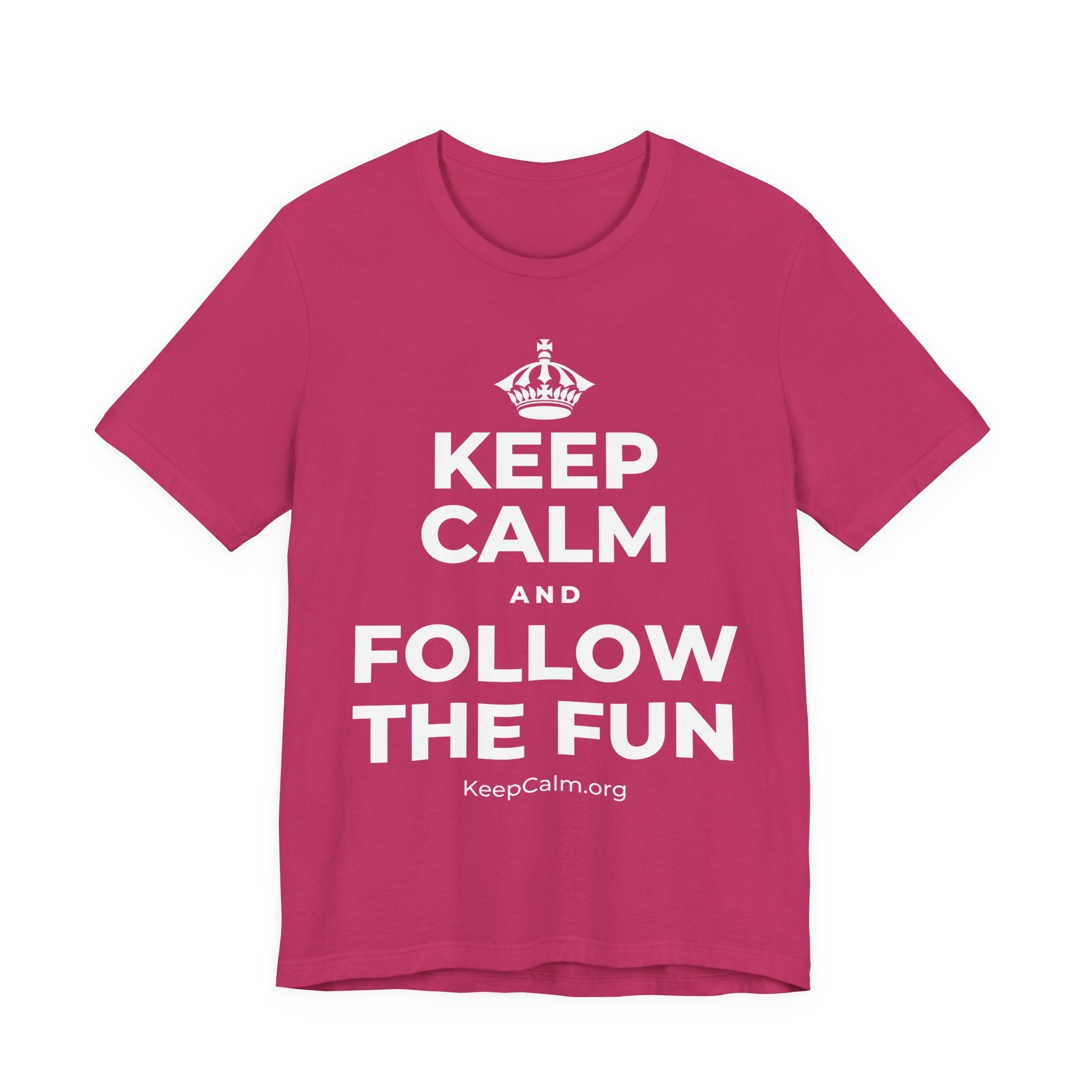 KEEP CALM AND FOLLOW THE FUN T-Shirt (Baby Blue–Silver)