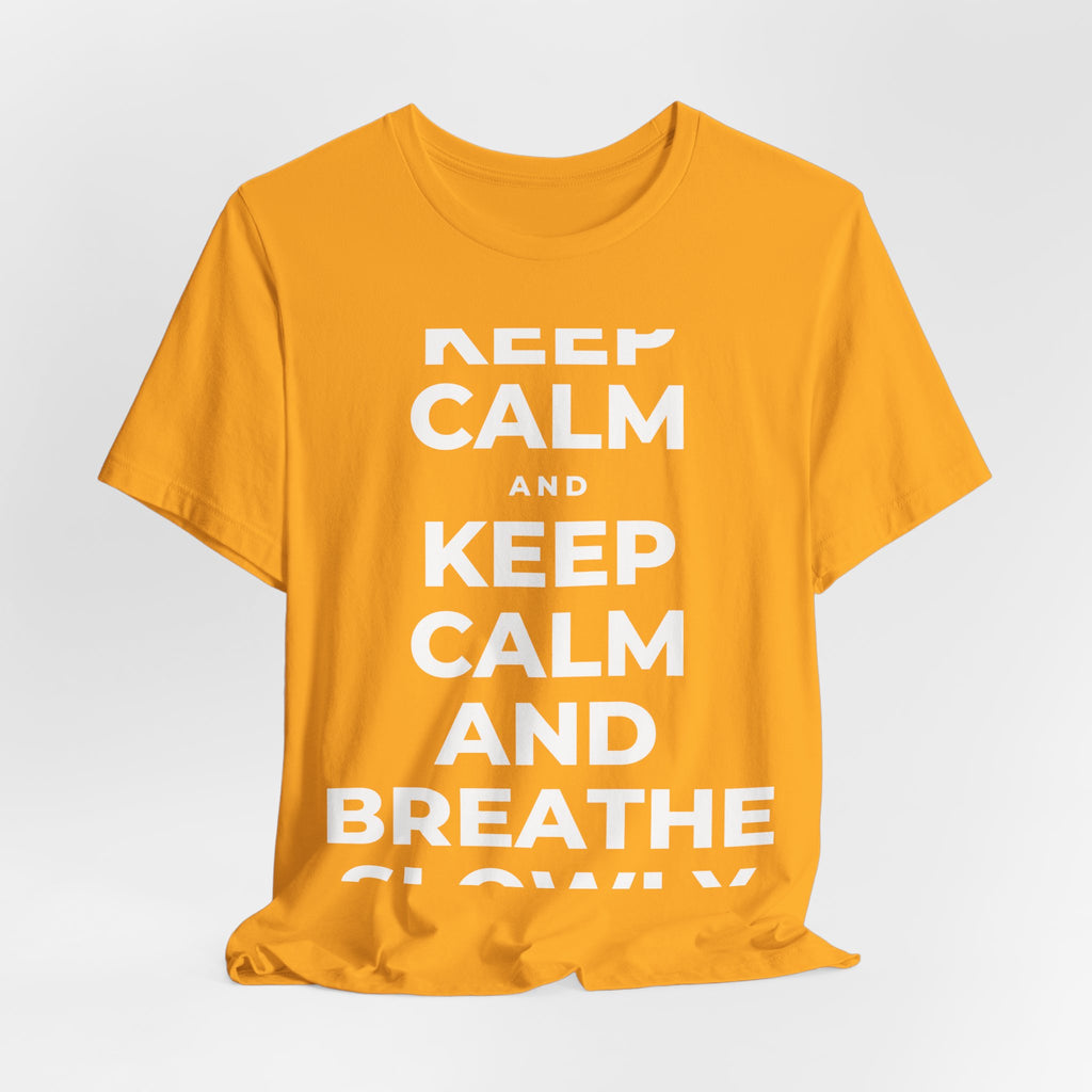 KEEP CALM AND BREATHE SLOWLY T-Shirt (Baby Blue–Silver)