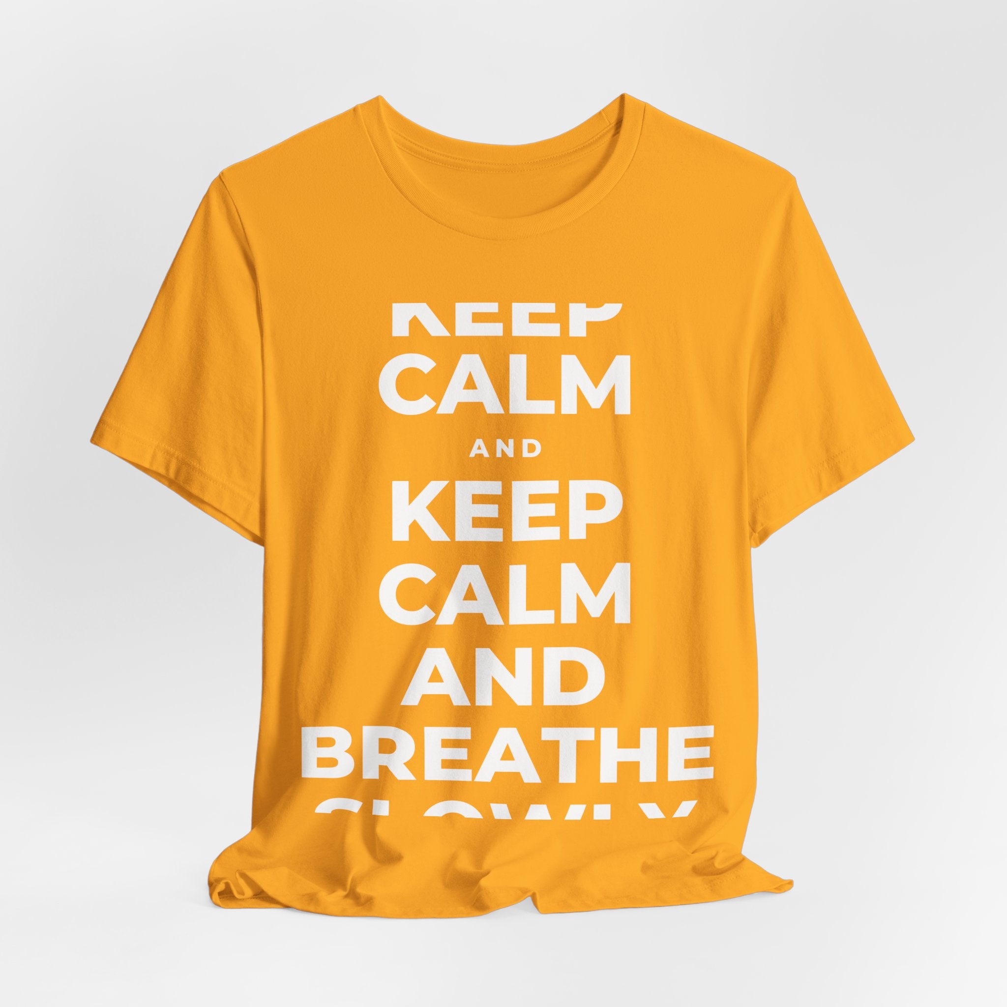 KEEP CALM AND BREATHE SLOWLY T-Shirt (Baby Blue–Silver)