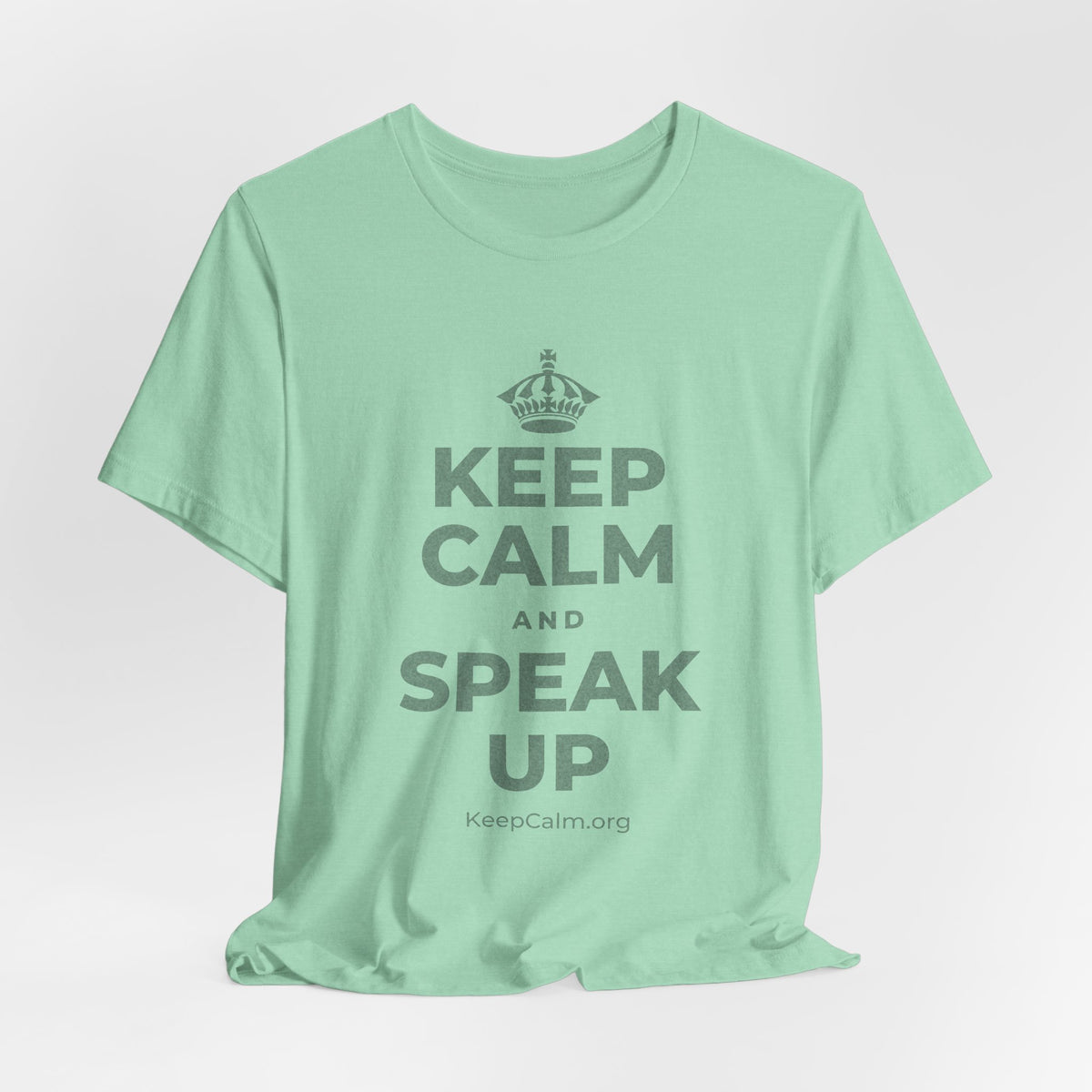 KEEP CALM AND SPEAK UP T-Shirt (Baby Blue–Silver)