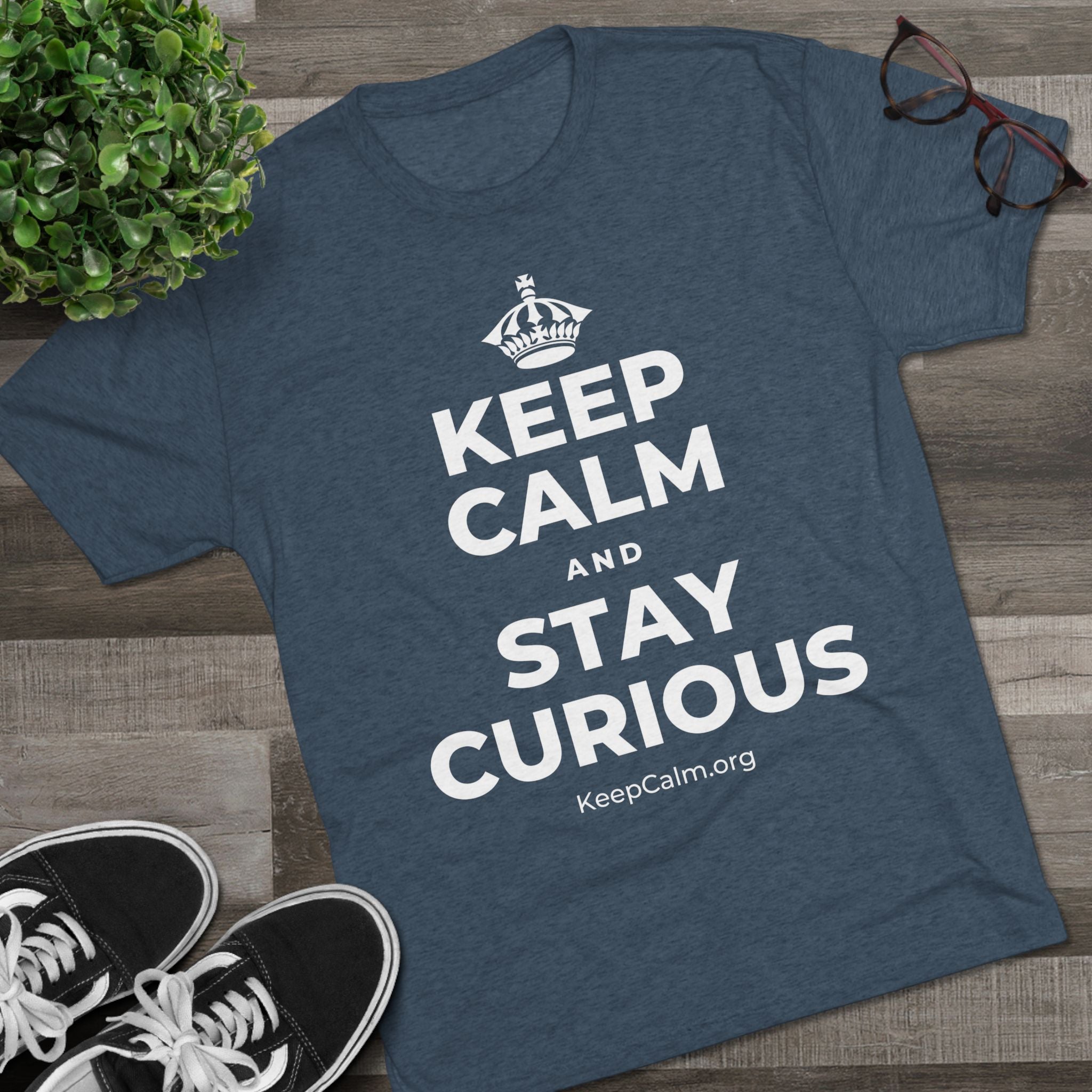 KEEP CALM AND STAY CURIOUS Tri-Blend Tee