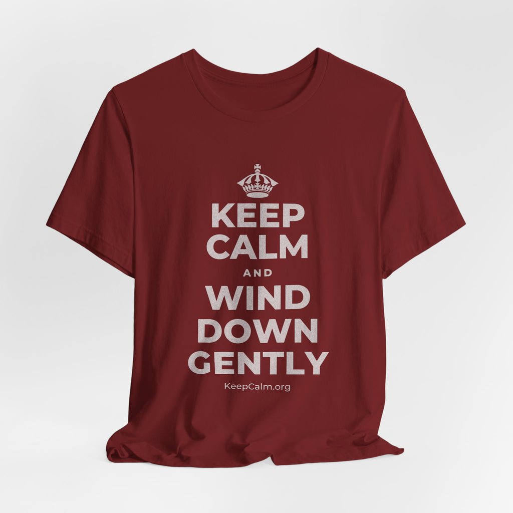 KEEP CALM AND WIND DOWN GENTLY T-Shirt (Baby Blue–Silver)
