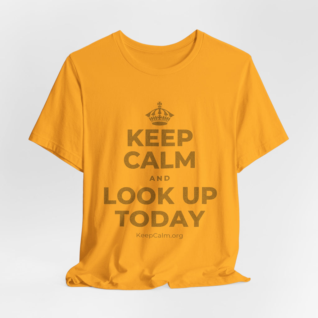 KEEP CALM AND LOOK UP TODAY T-Shirt (Baby Blue–Silver)