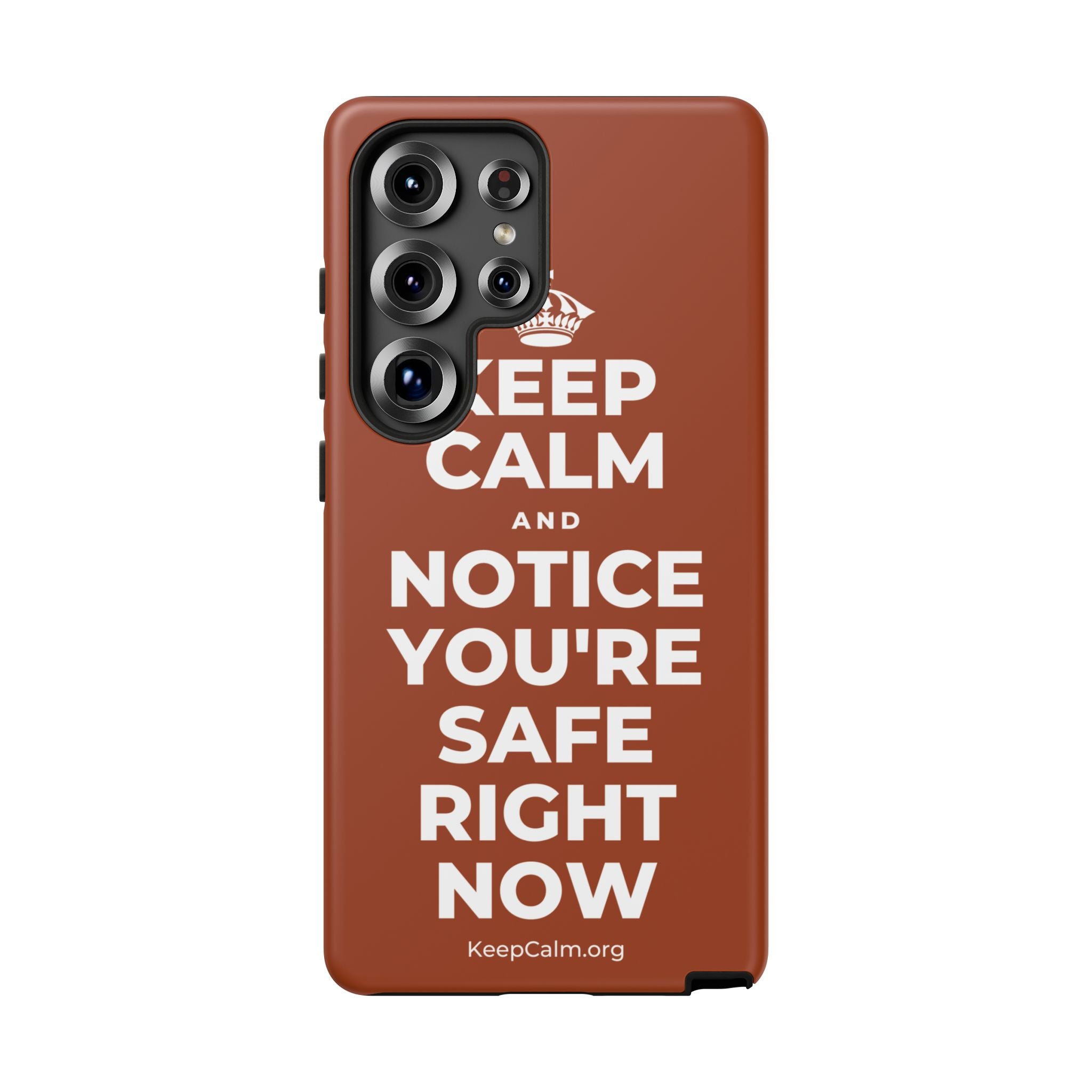 KEEP CALM AND NOTICE YOU'RE SAFE RIGHT NOW Phone Case