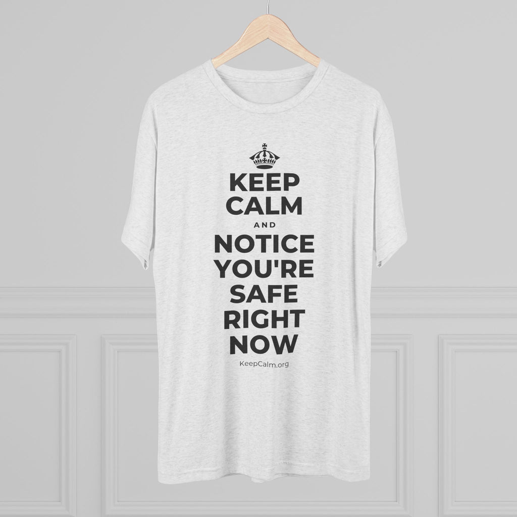 KEEP CALM AND NOTICE YOU'RE SAFE RIGHT NOW Tri-Blend Tee