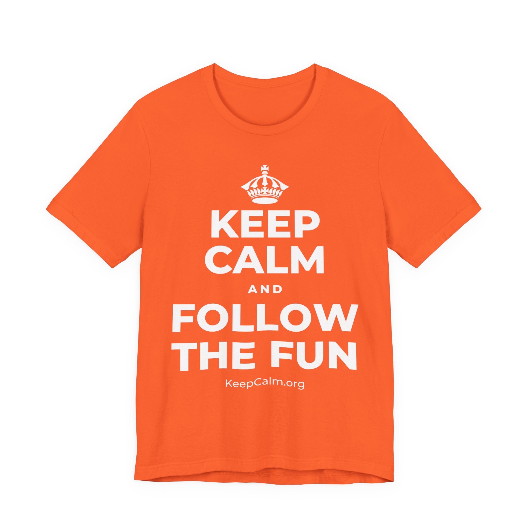 KEEP CALM AND FOLLOW THE FUN T-Shirt (Baby Blue–Silver)