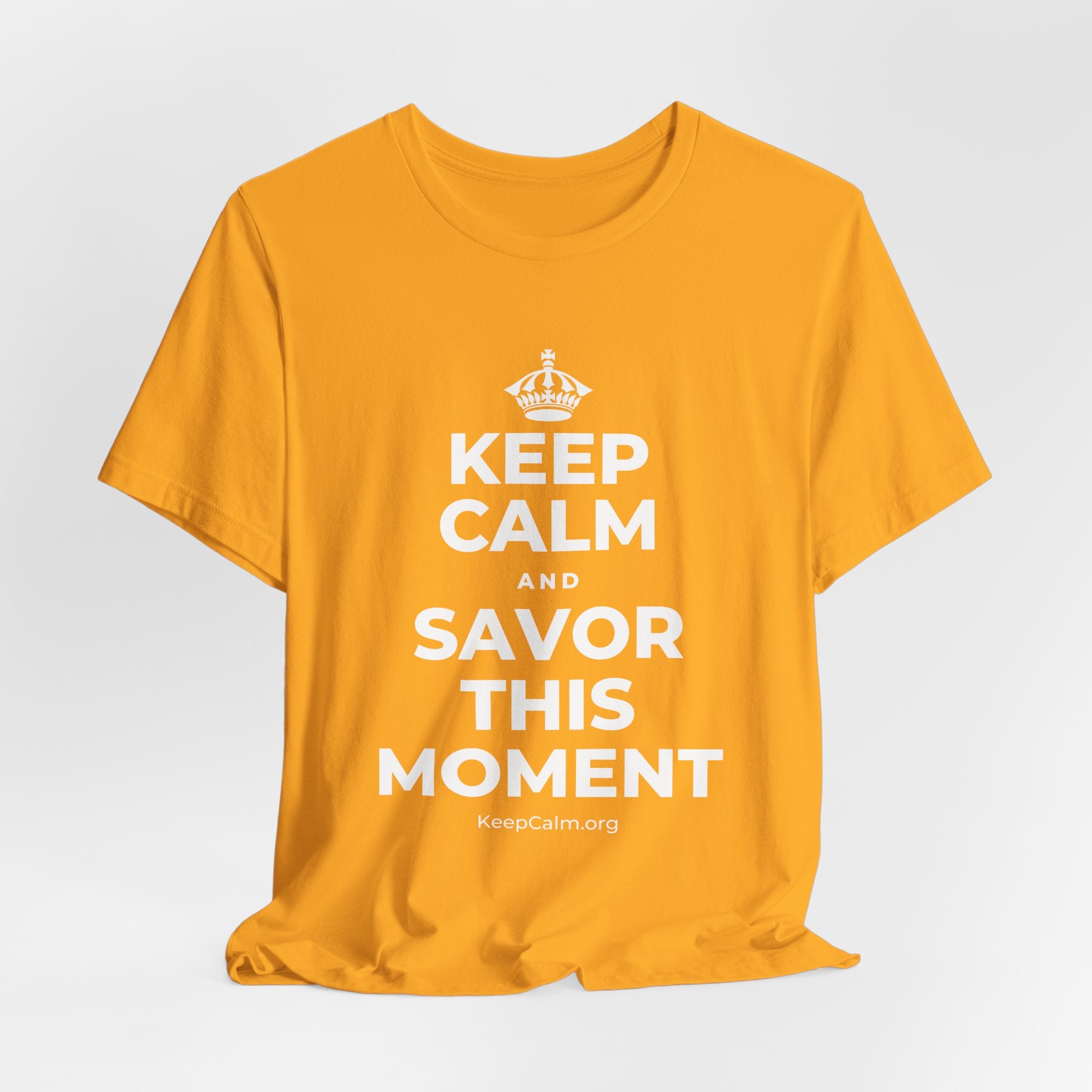 KEEP CALM AND SAVOR THIS MOMENT T-Shirt (Baby Blue–Silver)