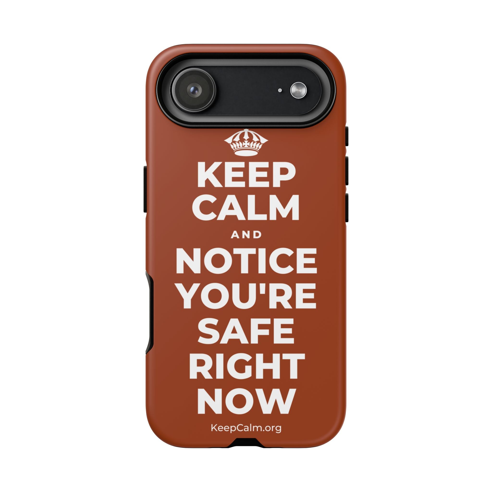 KEEP CALM AND NOTICE YOU'RE SAFE RIGHT NOW Phone Case