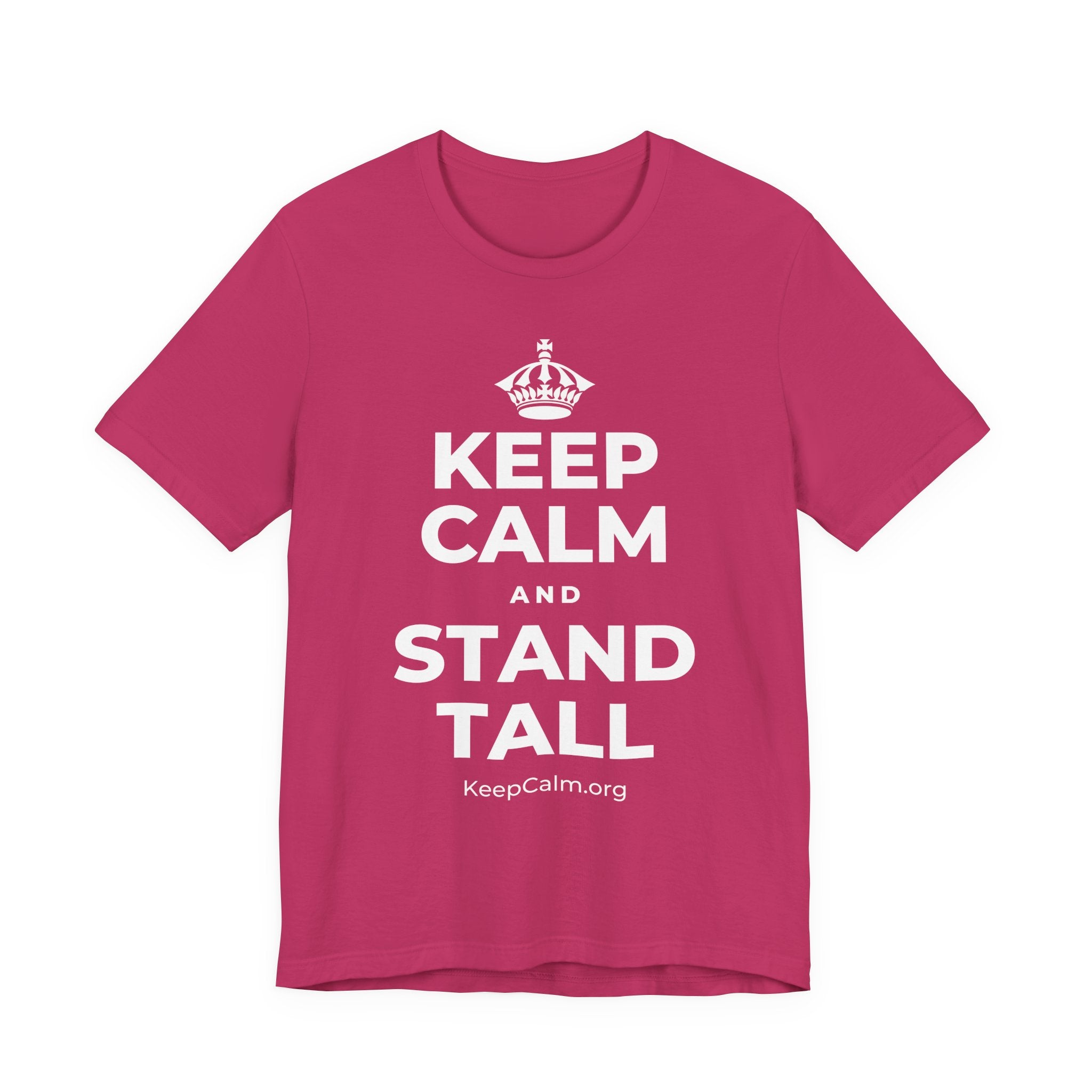 KEEP CALM AND STAND TALL T-Shirt (Baby Blue–Silver)