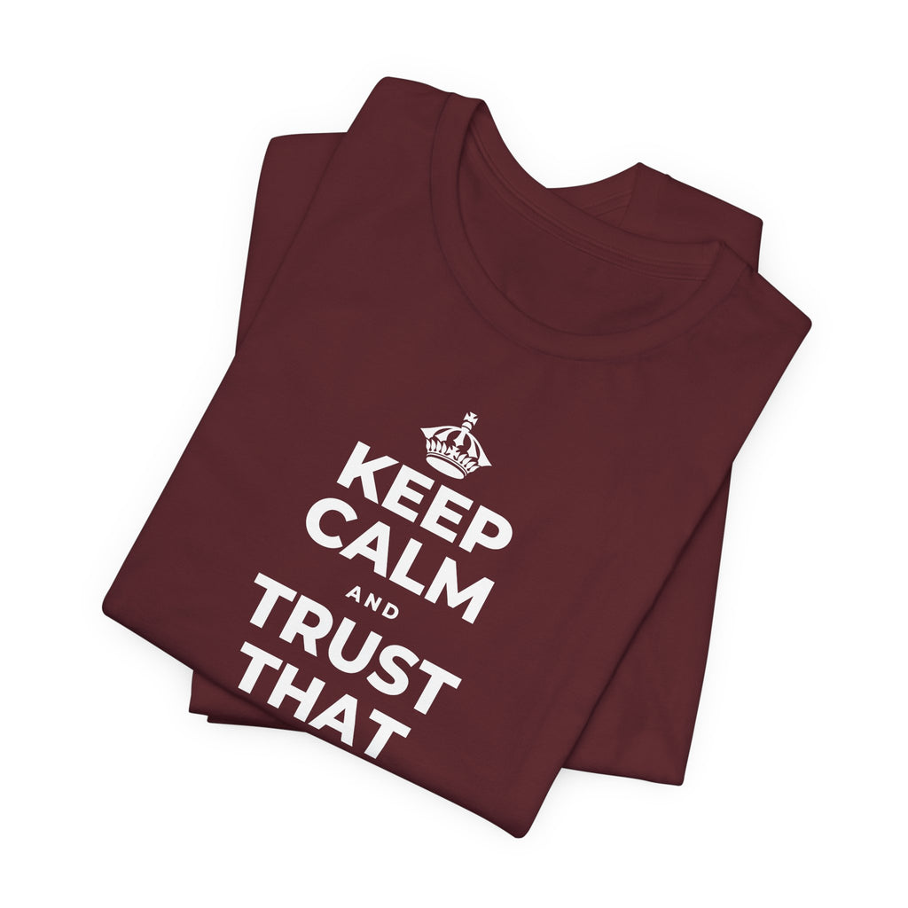 KEEP CALM AND TRUST THAT YOU'RE DOING YOUR BEST T-Shirt (Baby Blue–Silver)