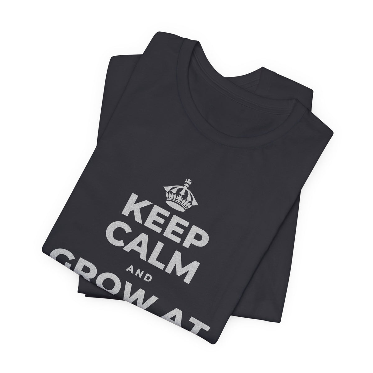 KEEP CALM AND GROW AT YOUR OWN PACE T-Shirt (Baby Blue–Silver)