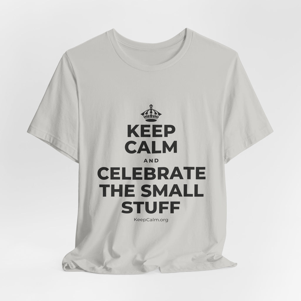 KEEP CALM AND CELEBRATE THE SMALL STUFF T-Shirt (Baby Blue–Silver)