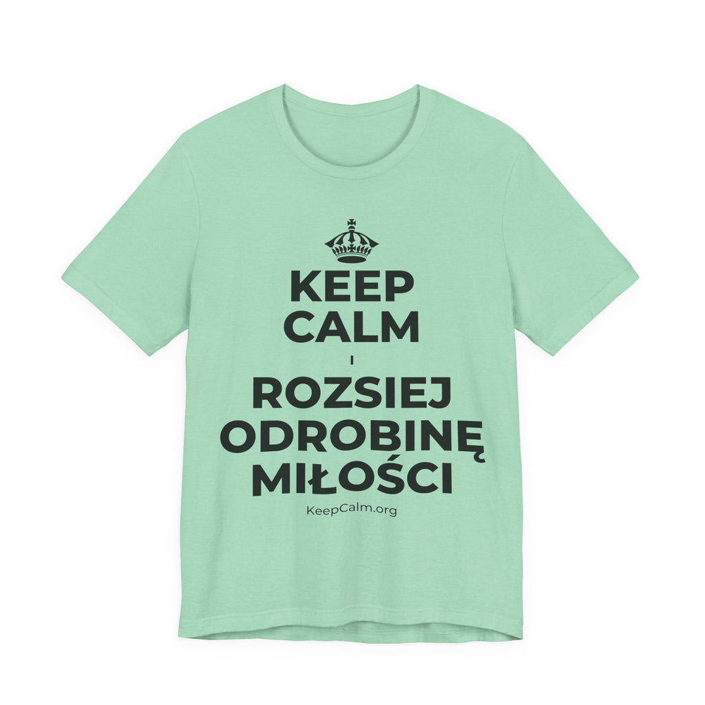 KEEP CALM I ROZSIEJ ODROBINĘ MIŁOŚCI T-Shirt (Baby Blue–Silver)