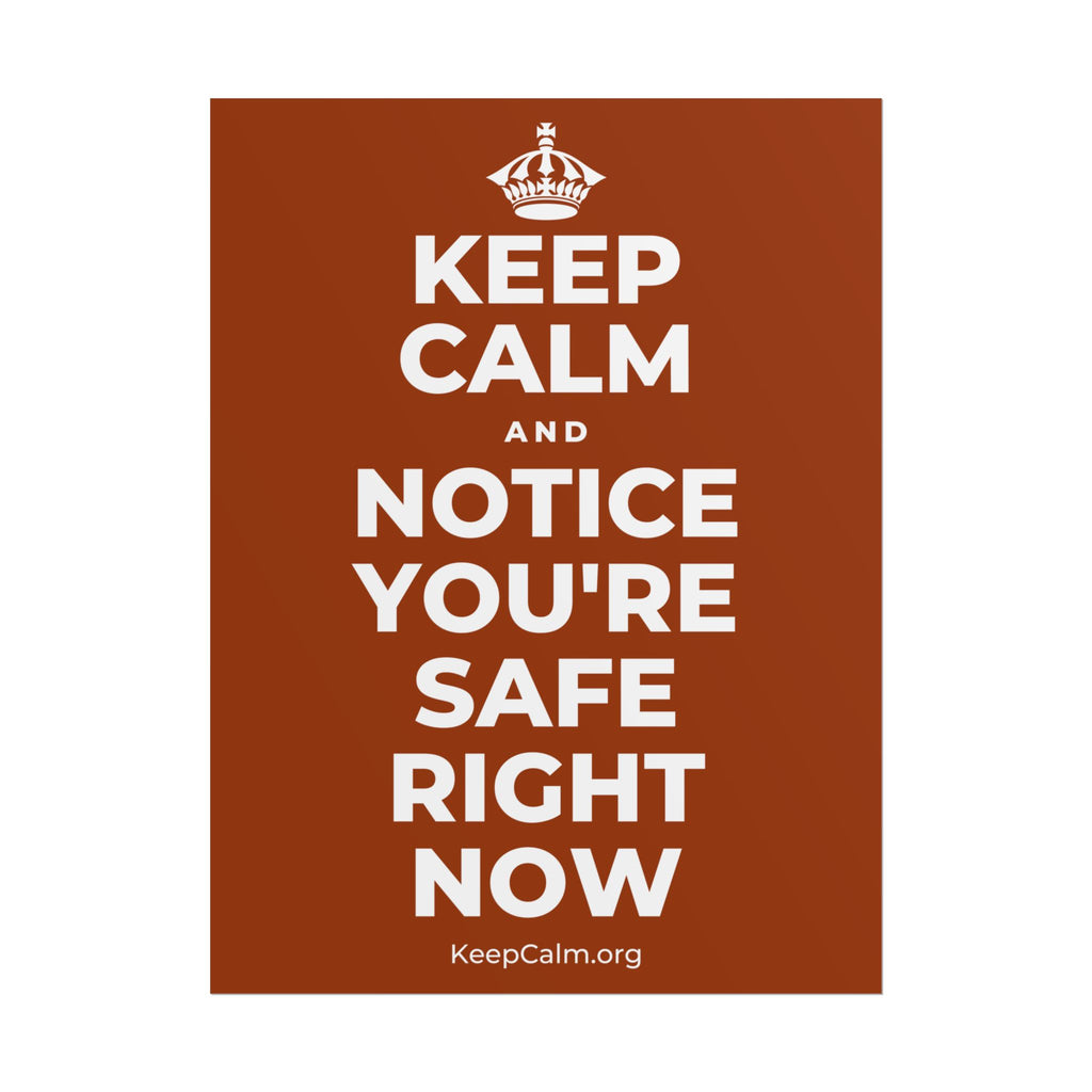 KEEP CALM AND NOTICE YOU'RE SAFE RIGHT NOW Poster