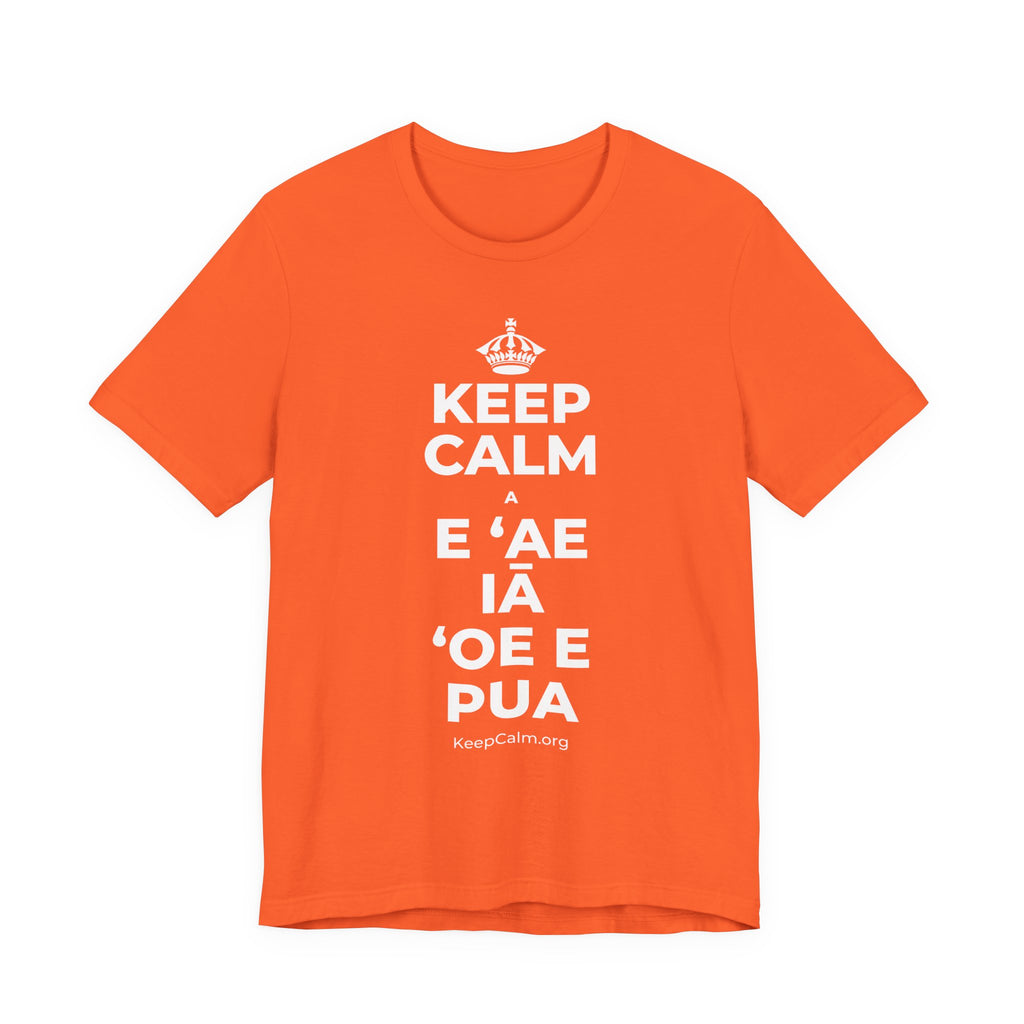 KEEP CALM A E ʻAE IĀ ʻOE E PUA T-Shirt (Baby Blue–Silver)