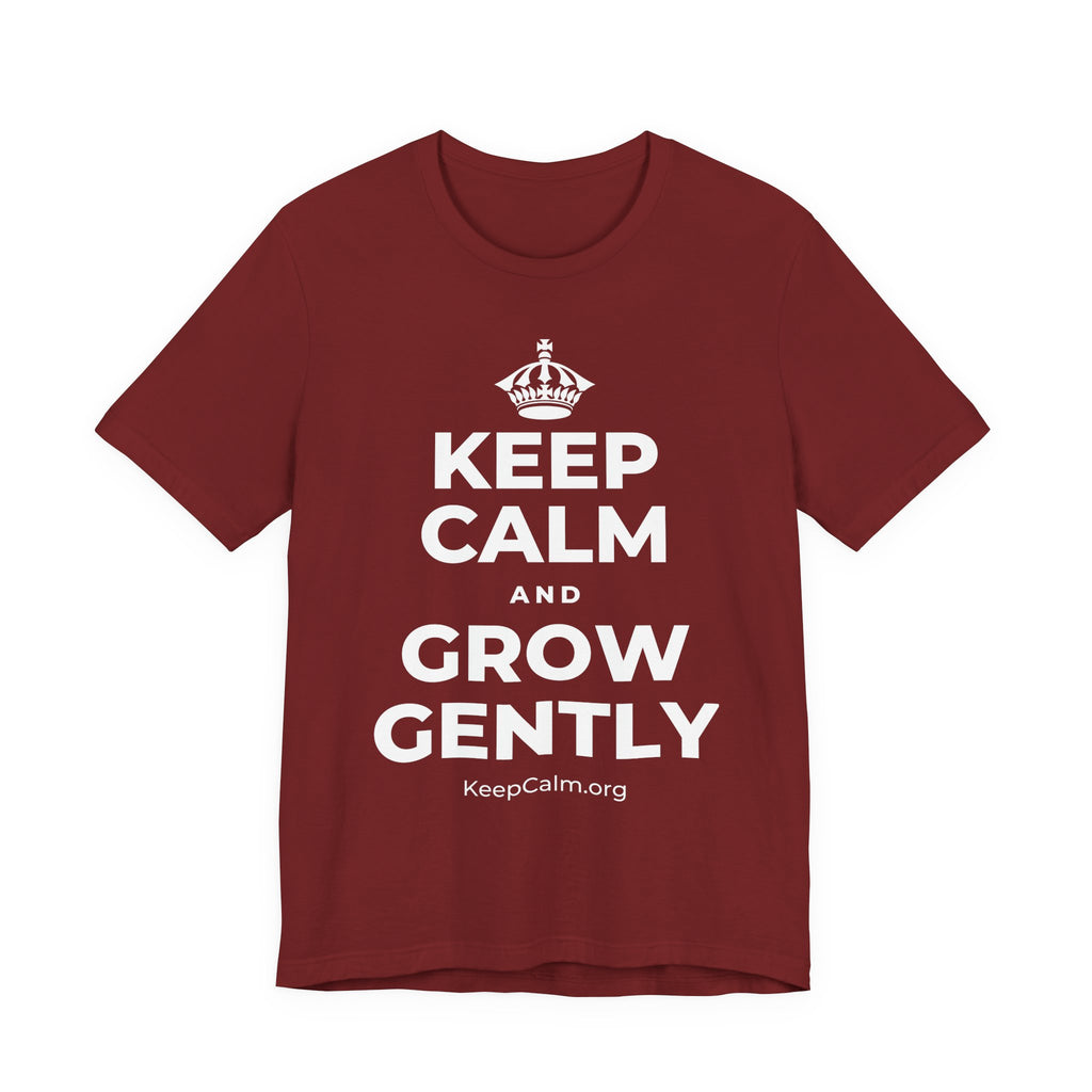 KEEP CALM AND GROW GENTLY T-Shirt (Baby Blue–Silver)