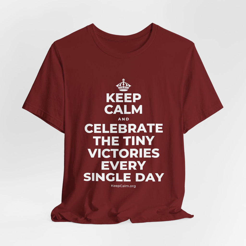 KEEP CALM AND CELEBRATE THE TINY VICTORIES EVERY SINGLE DAY T-Shirt (Baby Blue–Silver)