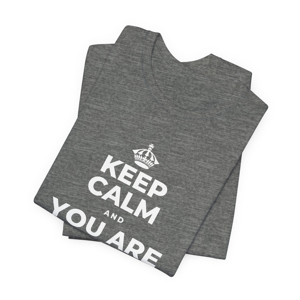 KEEP CALM AND YOU ARE DOING GREAT TODAY T-Shirt (Baby Blue–Silver)