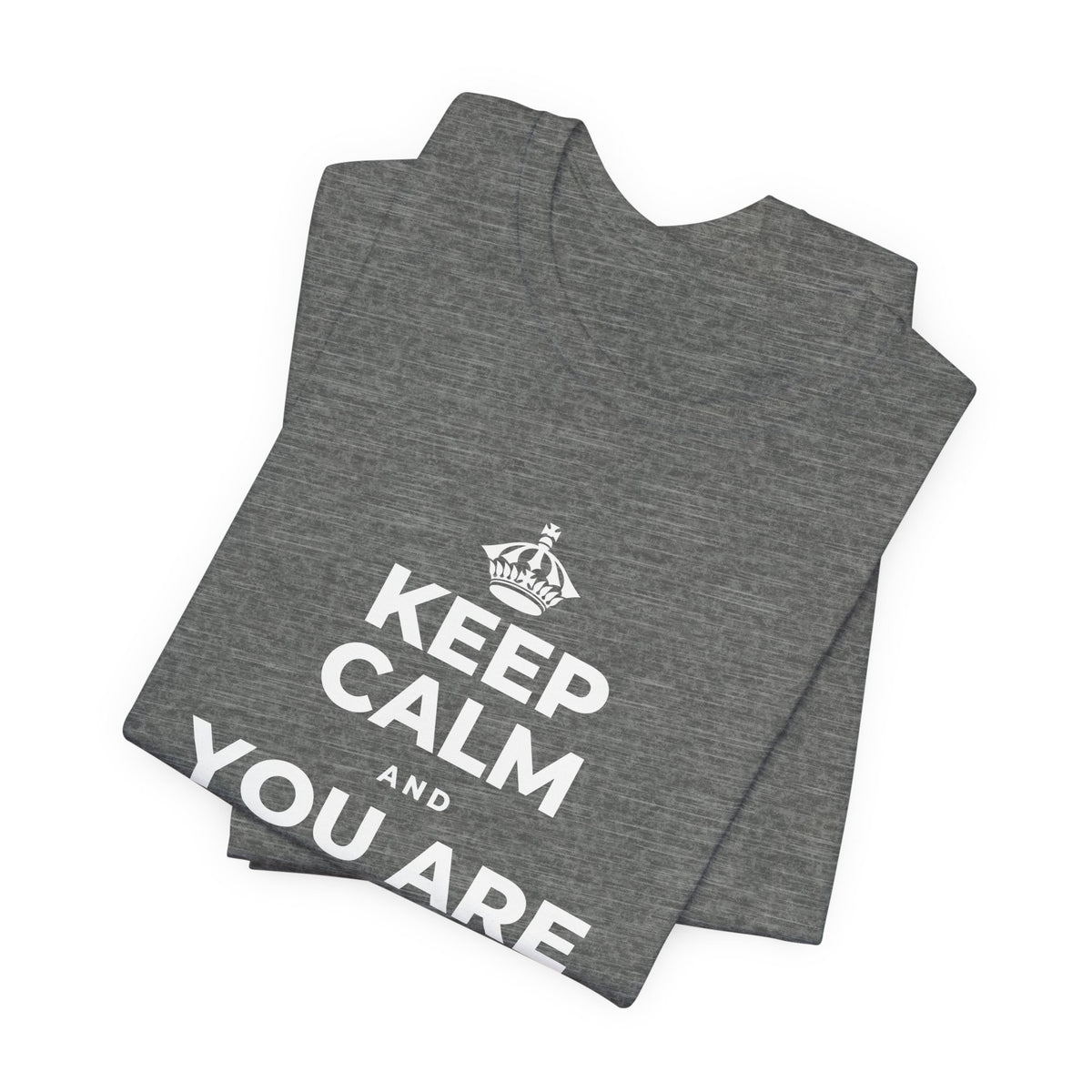 KEEP CALM AND YOU ARE DOING GREAT TODAY T-Shirt (Baby Blue–Silver)