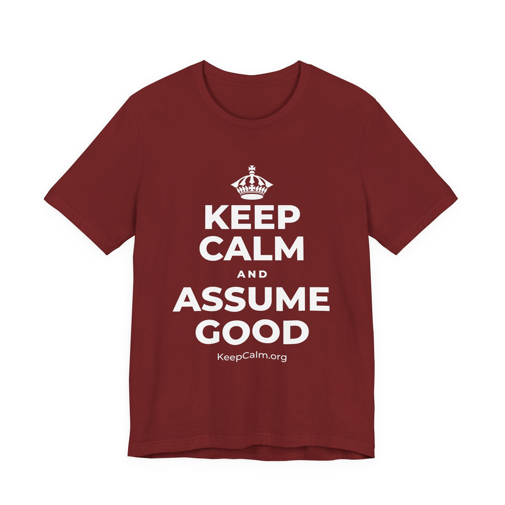 KEEP CALM AND ASSUME GOOD T-Shirt (Baby Blue–Silver)