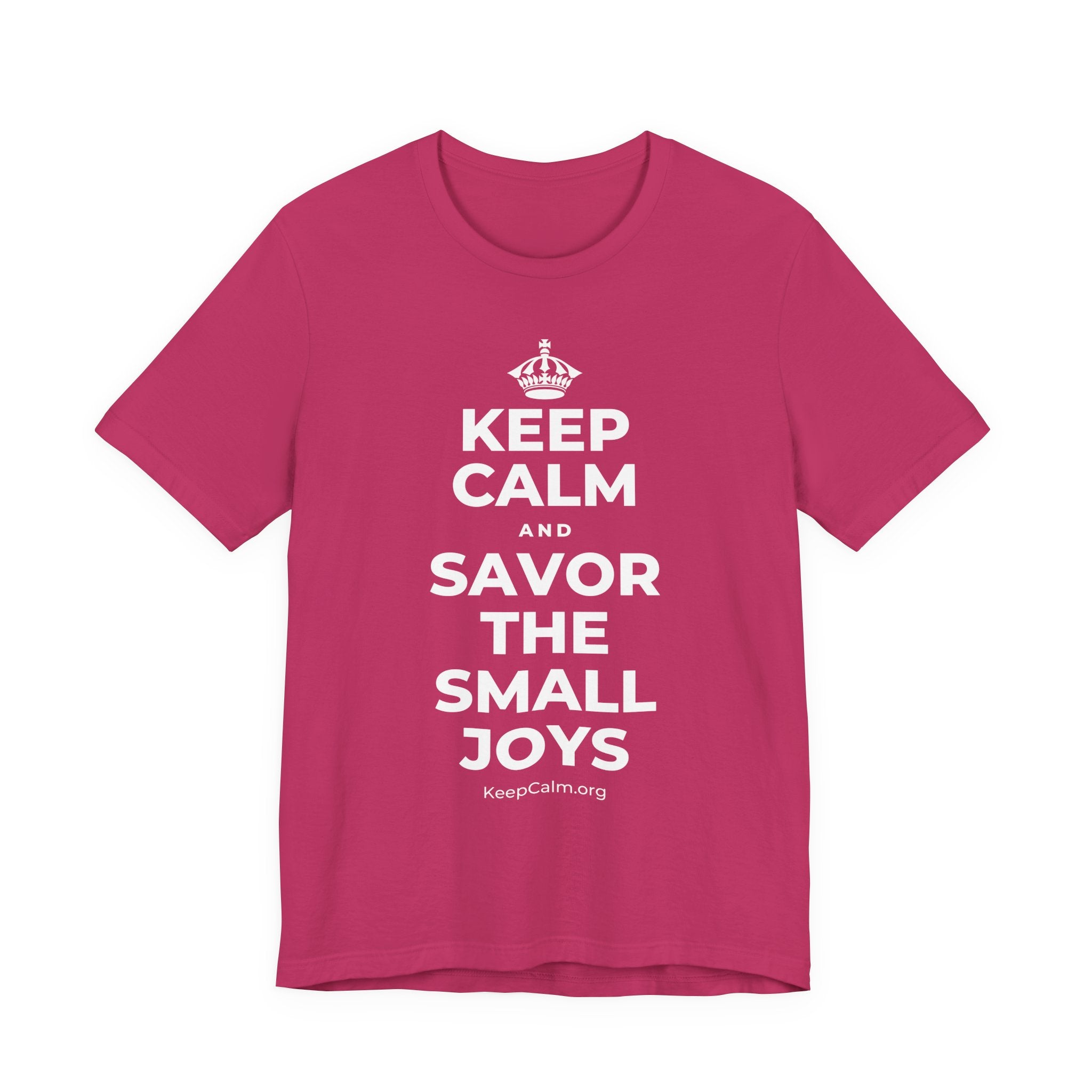 KEEP CALM AND SAVOR THE SMALL JOYS T-Shirt (Baby Blue–Silver)