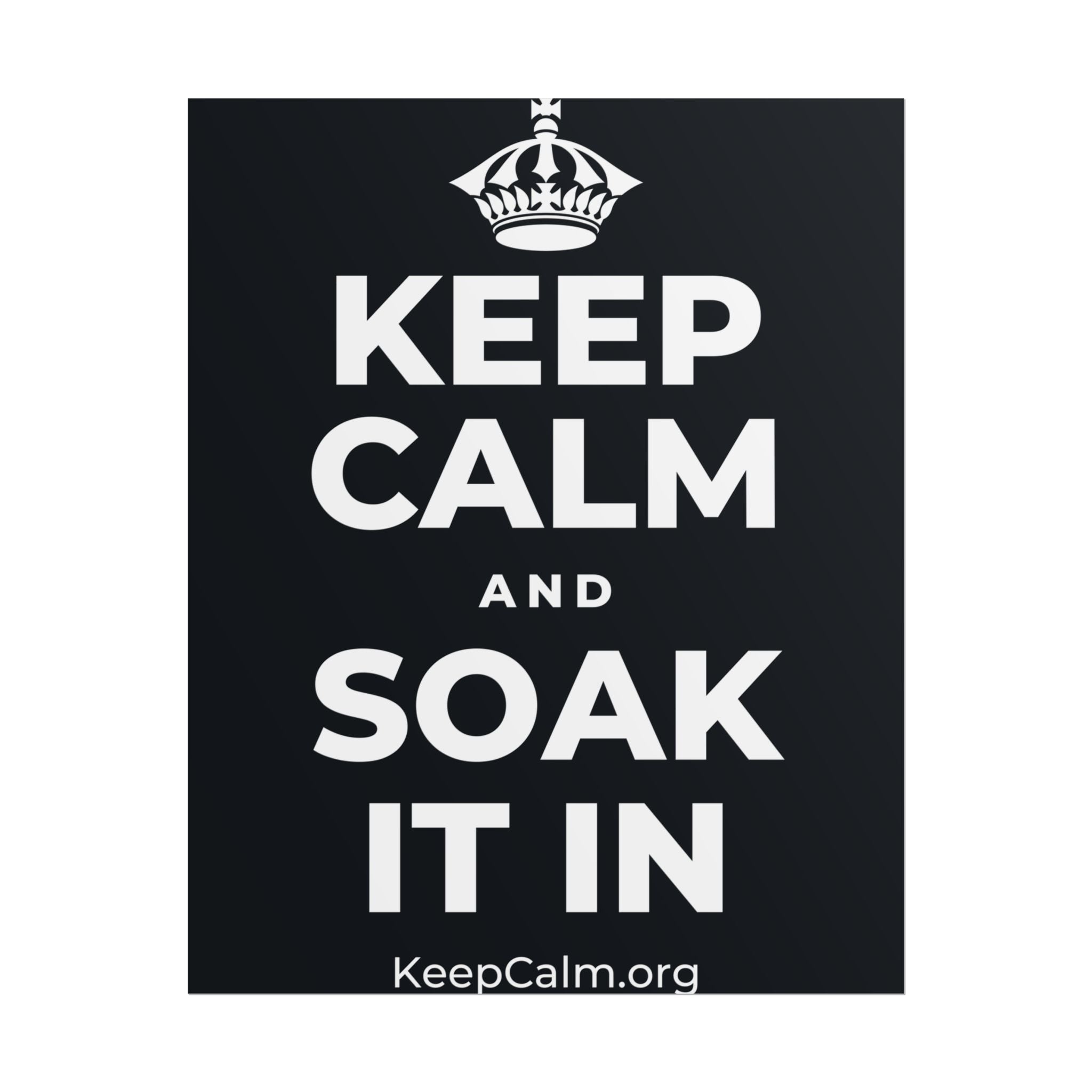 KEEP CALM AND SOAK IT IN Poster (Dark)