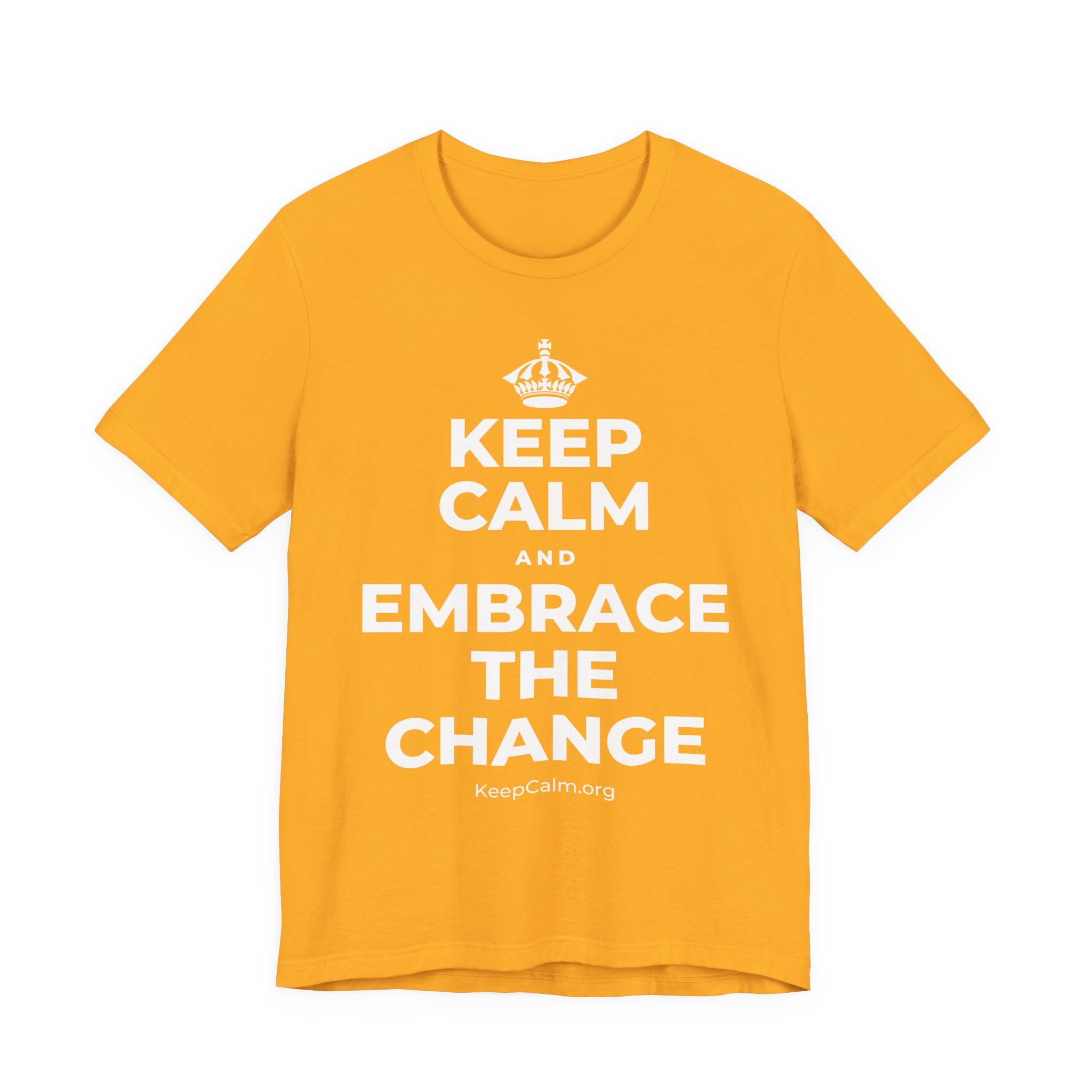 KEEP CALM AND EMBRACE THE CHANGE T-Shirt (Baby Blue–Silver)