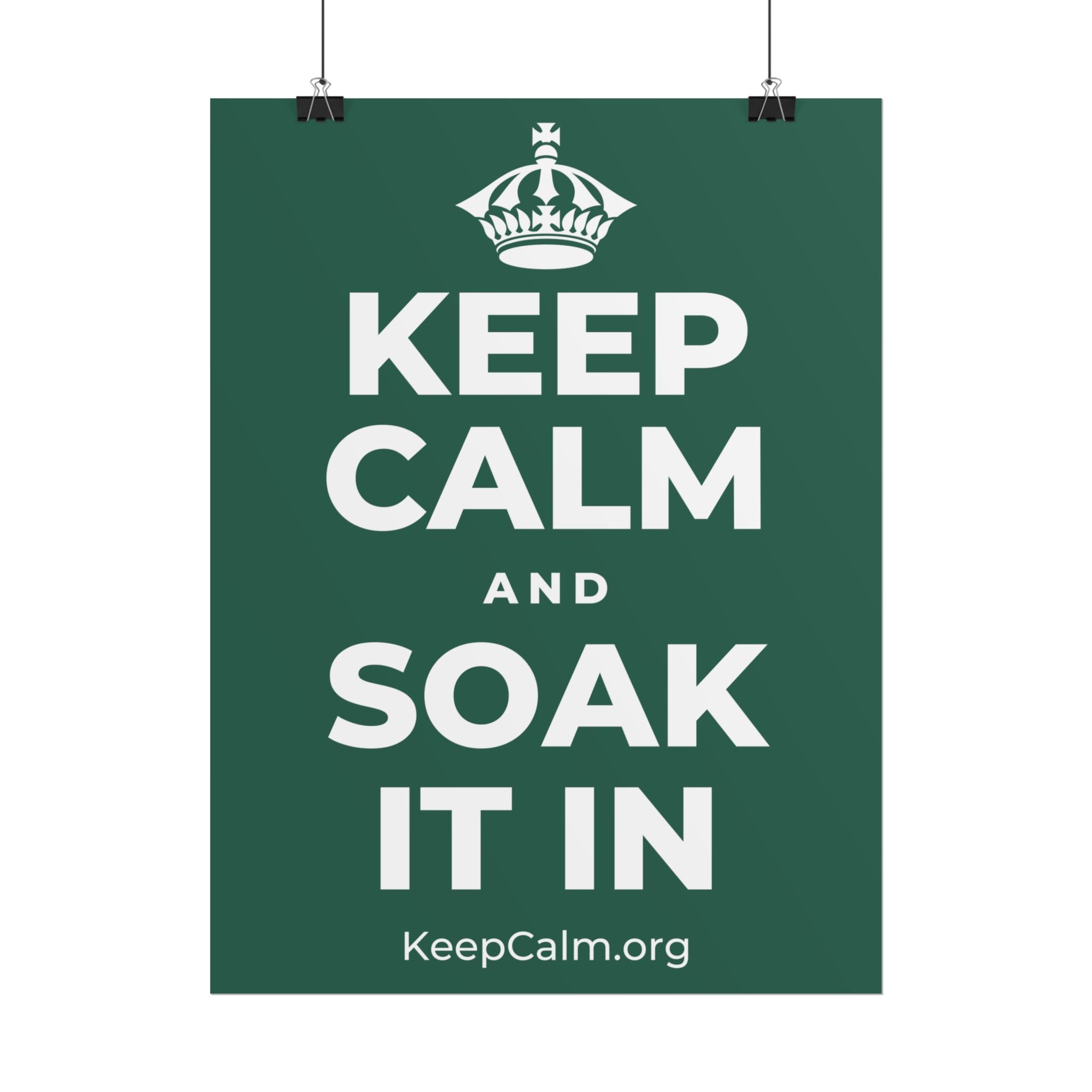 KEEP CALM AND SOAK IT IN Poster
