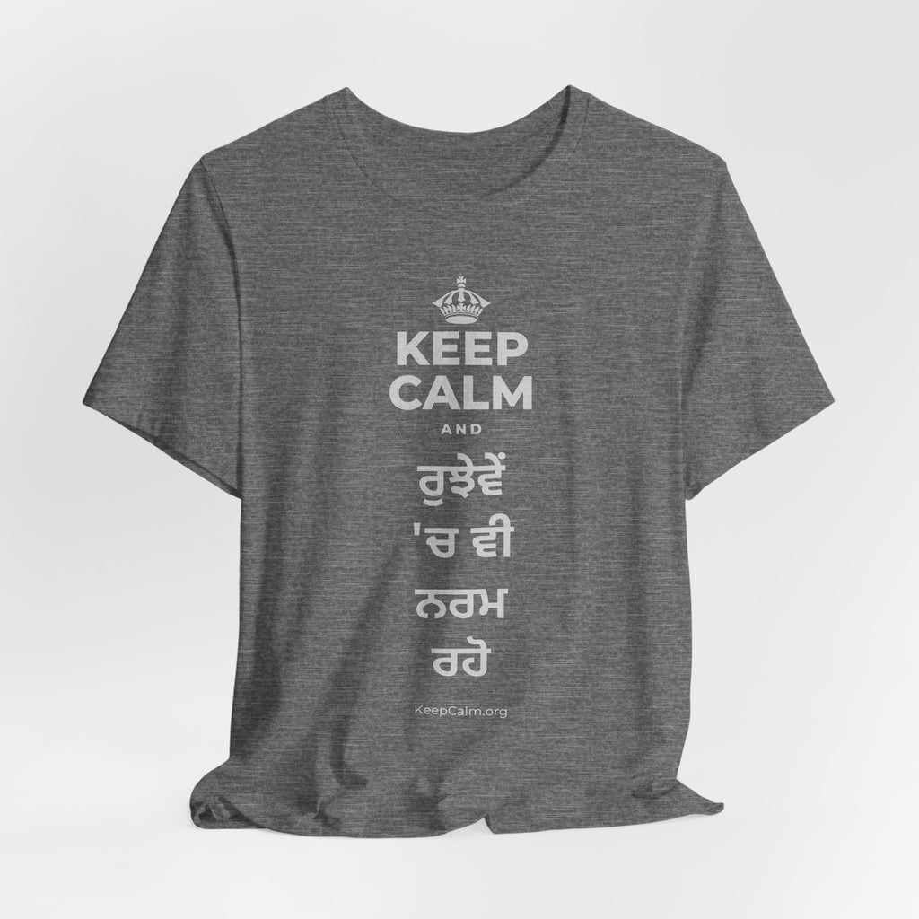 KEEP CALM AND ਰੁਝੇਵੇਂ 'ਚ ਵੀ ਨਰਮ ਰਹੋ T-Shirt (Baby Blue–Silver)