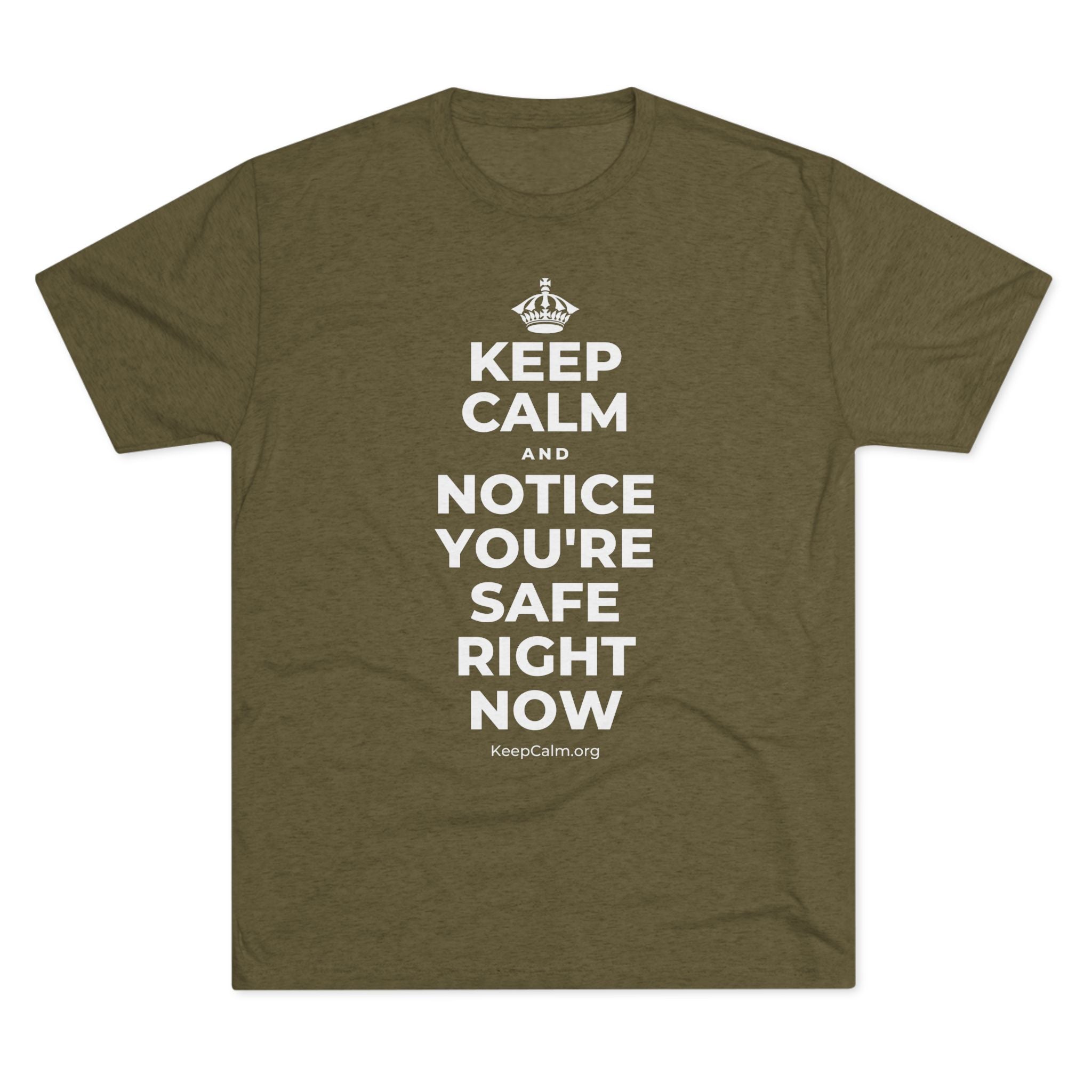 KEEP CALM AND NOTICE YOU'RE SAFE RIGHT NOW Tri-Blend Tee