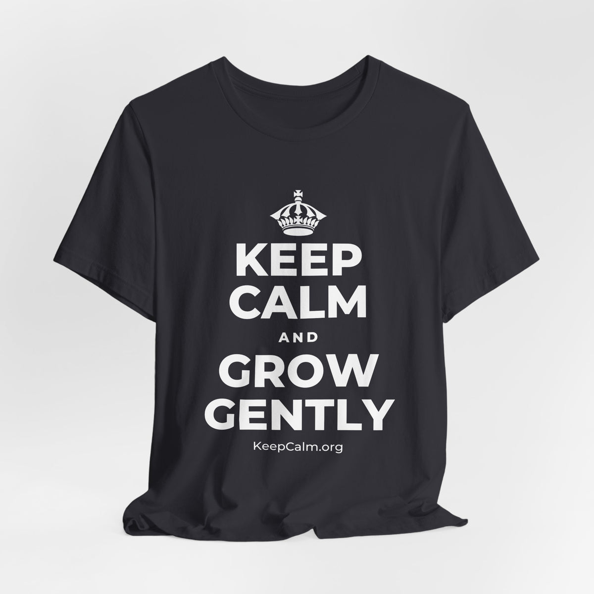 KEEP CALM AND GROW GENTLY T-Shirt (Baby Blue–Silver)