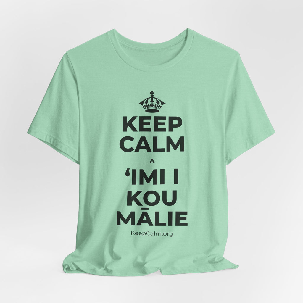 KEEP CALM A ʻIMI I KOU MĀLIE T-Shirt (Baby Blue–Silver)