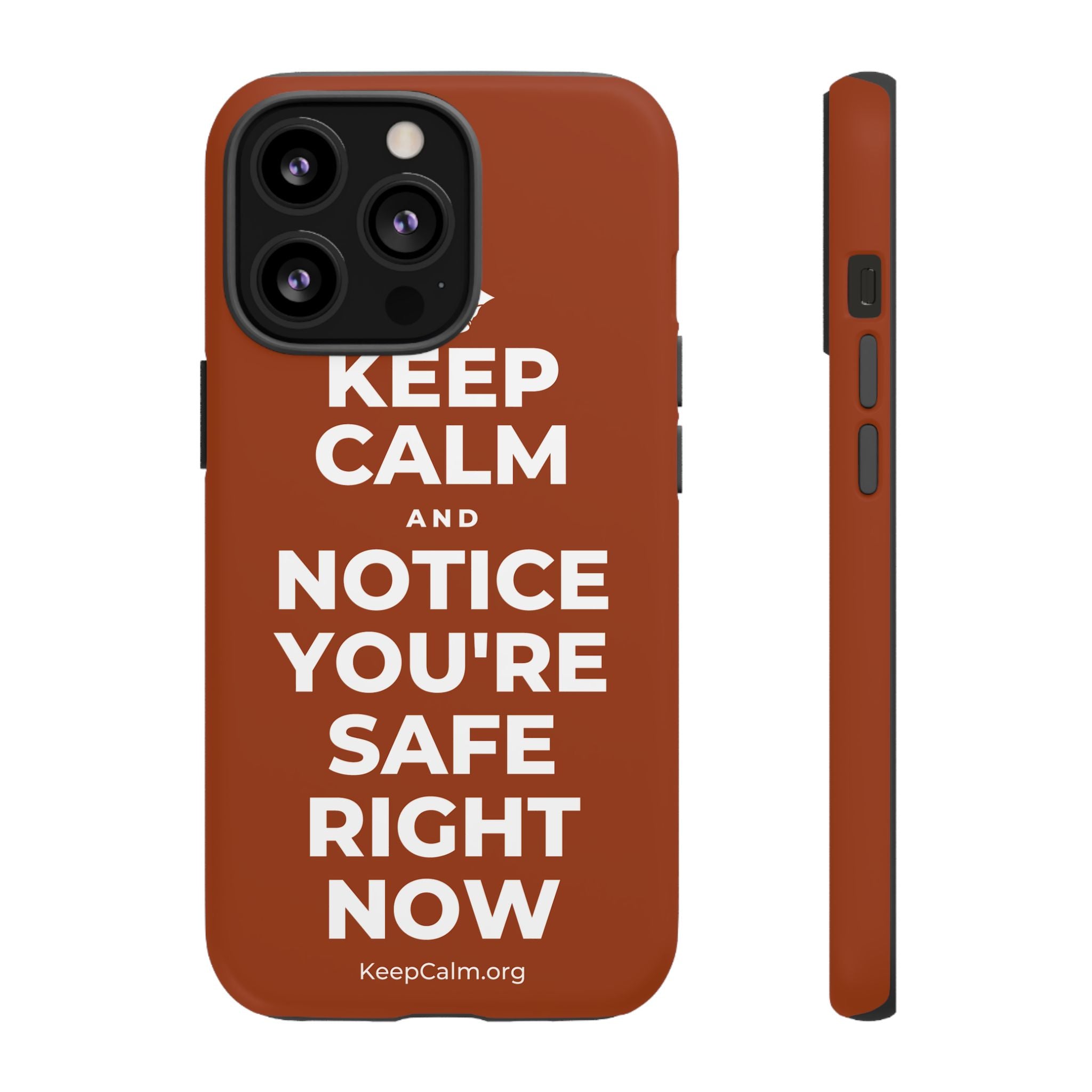 KEEP CALM AND NOTICE YOU'RE SAFE RIGHT NOW Phone Case