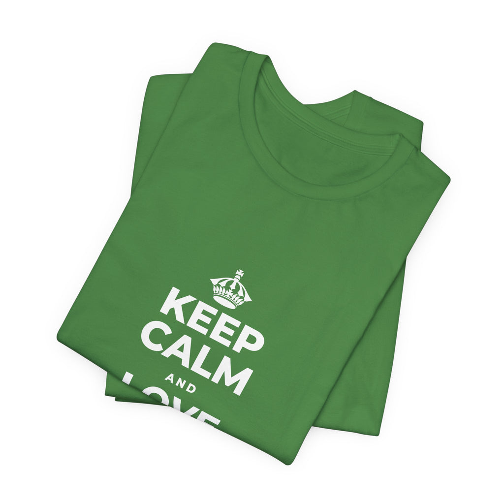 KEEP CALM AND LOVE WITHOUT POSSESSION T-Shirt (Baby Blue–Silver)