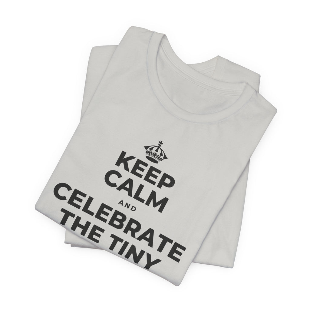 KEEP CALM AND CELEBRATE THE TINY VICTORIES EVERY SINGLE DAY T-Shirt (Baby Blue–Silver)