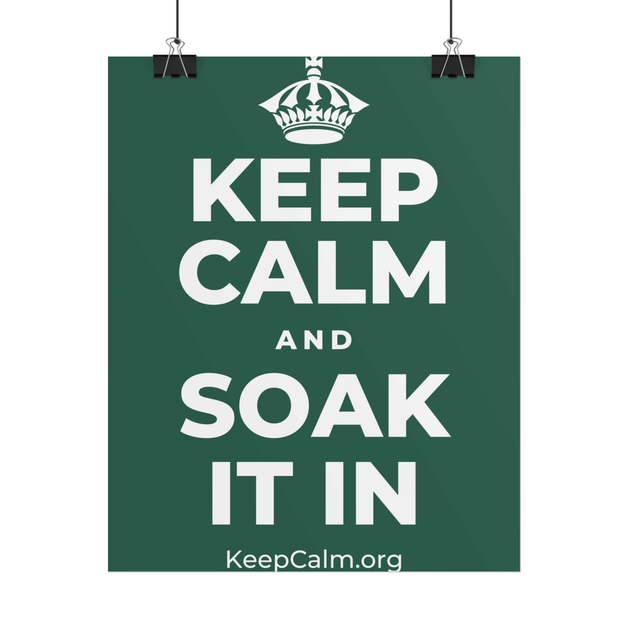 KEEP CALM AND SOAK IT IN Poster