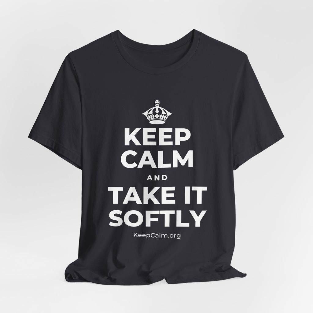 KEEP CALM AND TAKE IT SOFTLY T-Shirt (Baby Blue–Silver)