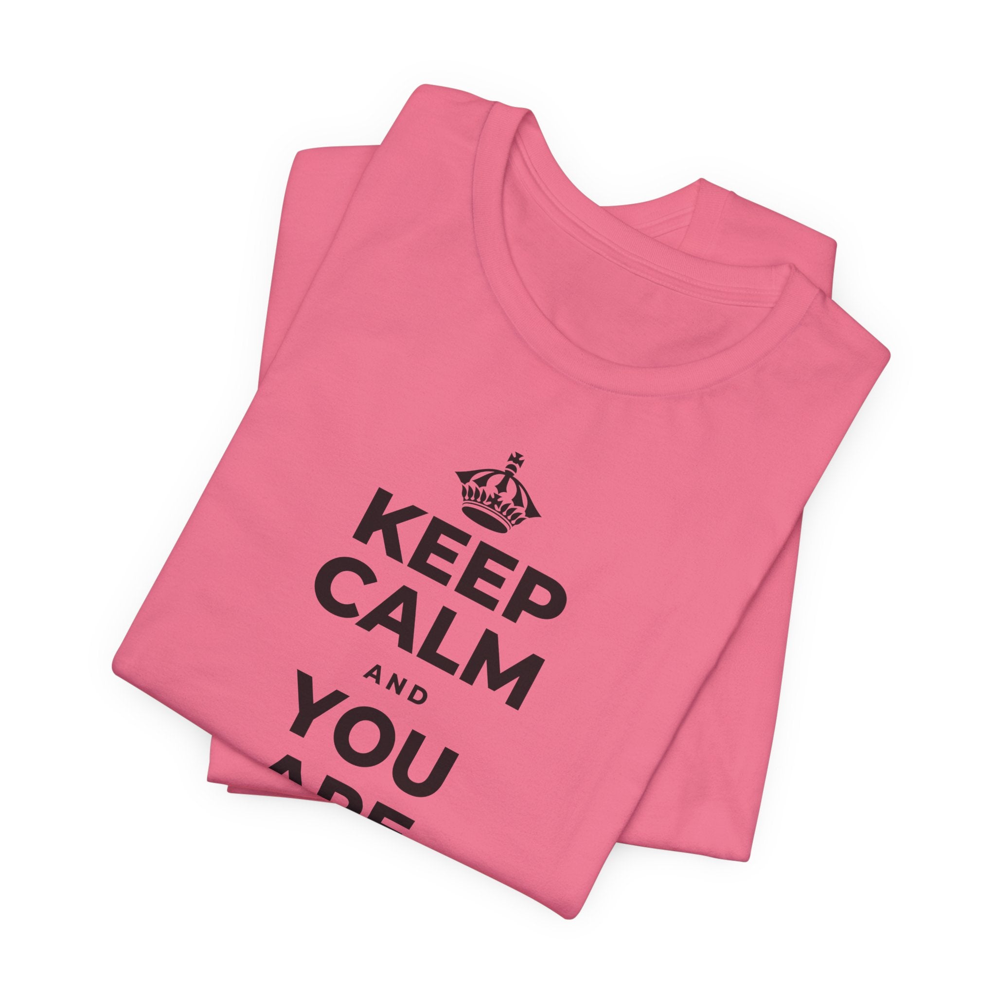 KEEP CALM AND YOU ARE DOING GREAT TODAY T-Shirt (Military Green–Autumn)