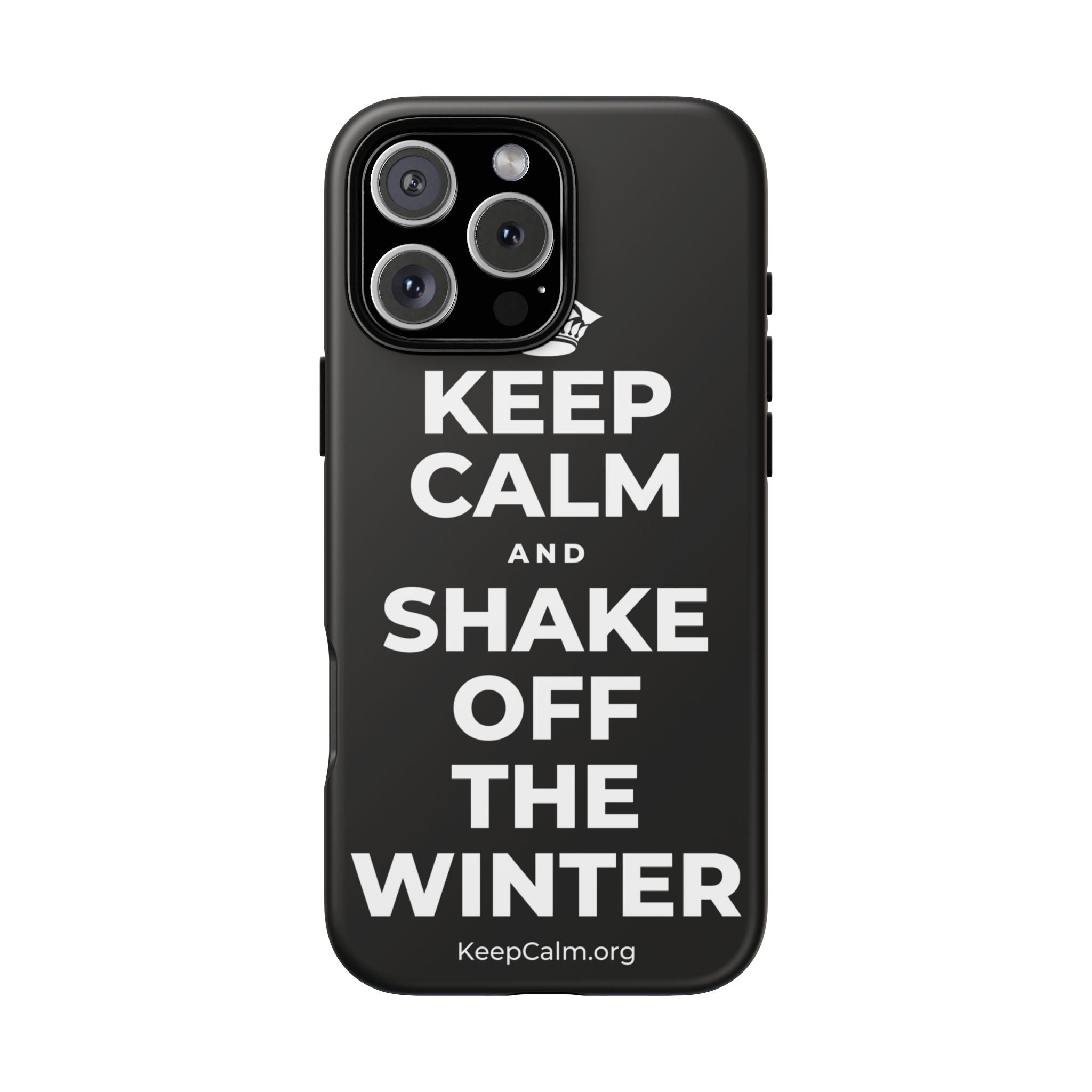 KEEP CALM AND SHAKE OFF THE WINTER Phone Case