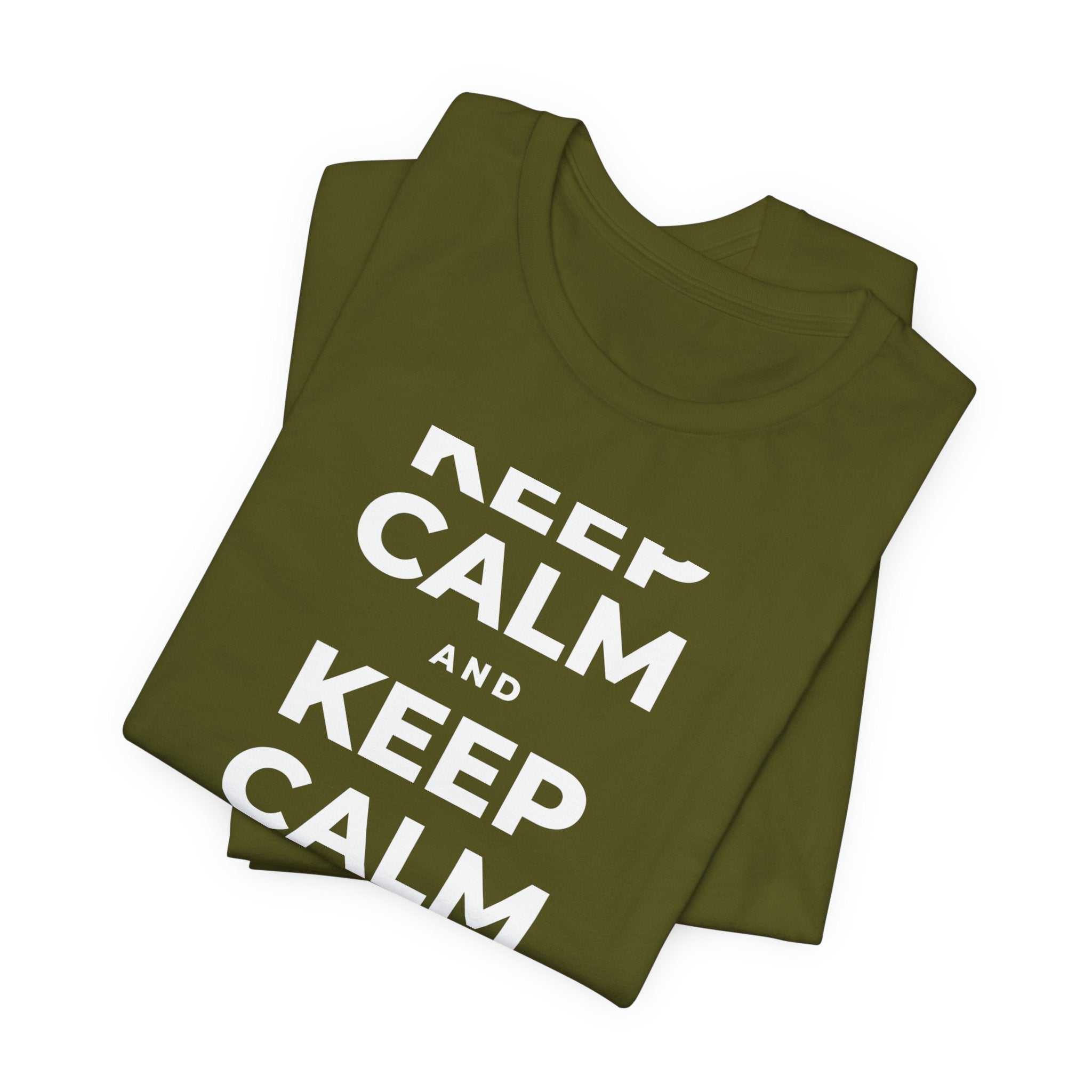 KEEP CALM AND TAKE A WALK T-Shirt (Baby Blue–Silver)