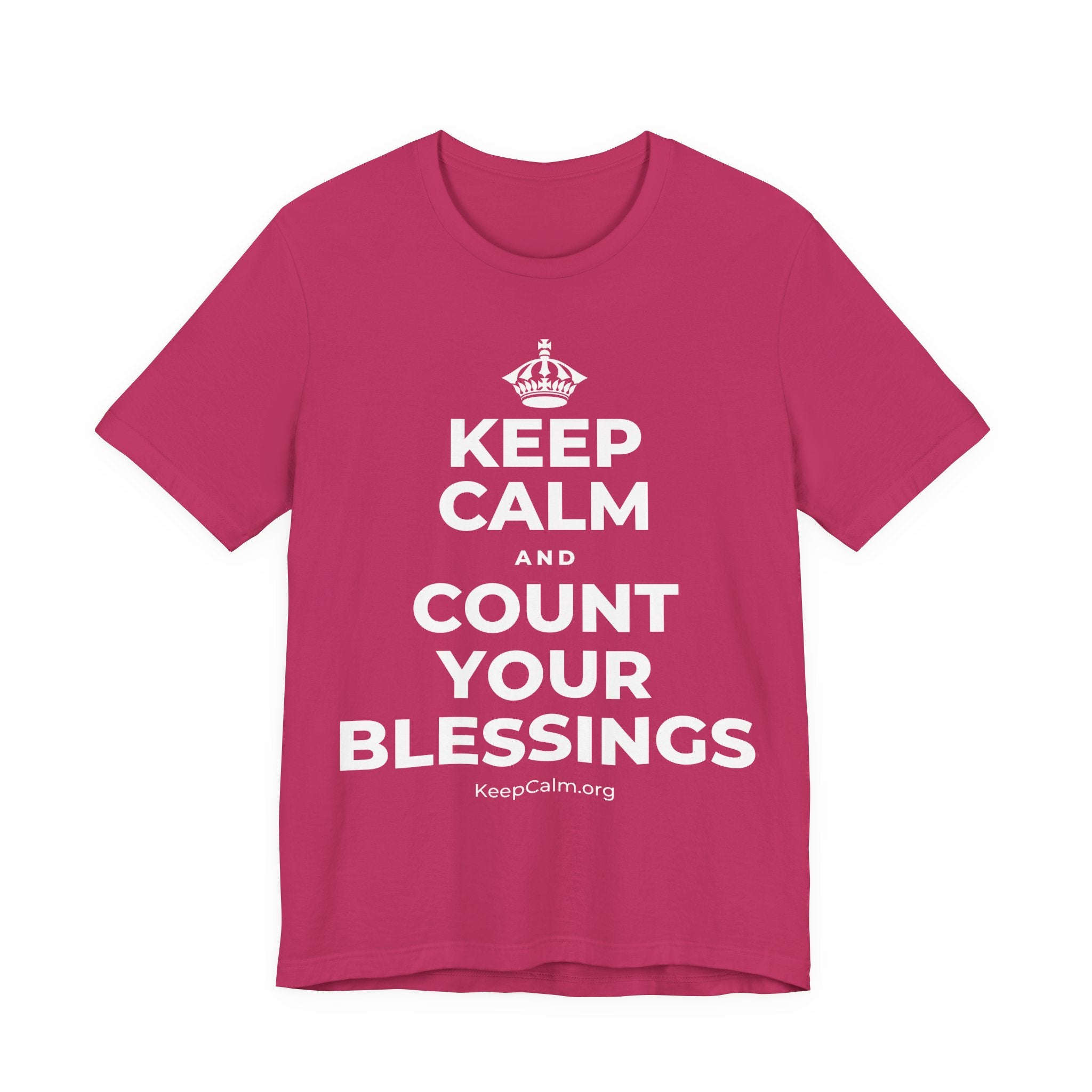 KEEP CALM AND COUNT YOUR BLESSINGS T-Shirt (Baby Blue–Silver)