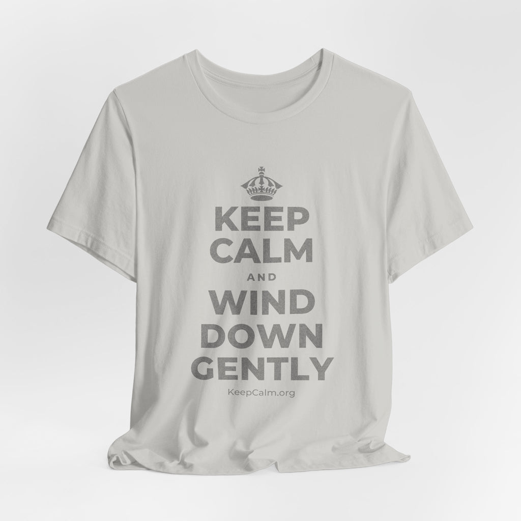 KEEP CALM AND WIND DOWN GENTLY T-Shirt (Baby Blue–Silver)