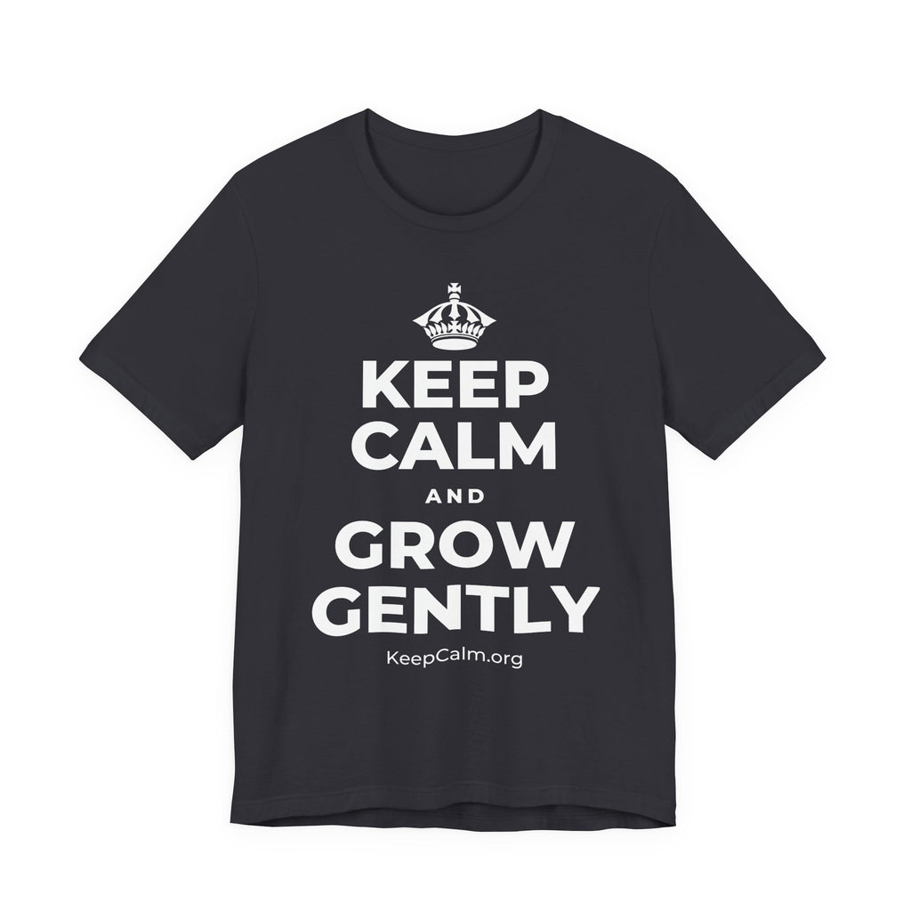 KEEP CALM AND GROW GENTLY T-Shirt (Baby Blue–Silver)