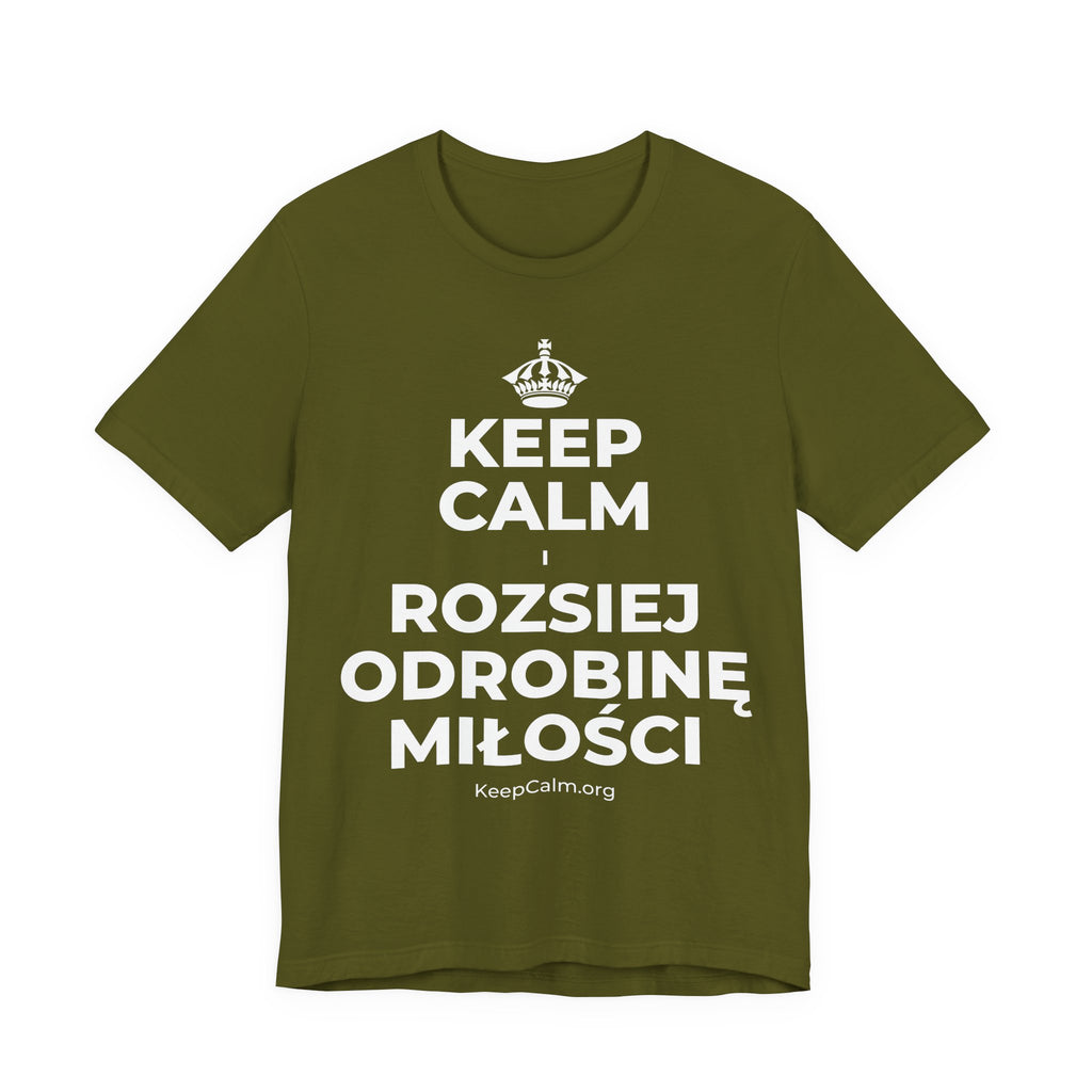 KEEP CALM I ROZSIEJ ODROBINĘ MIŁOŚCI T-Shirt (Baby Blue–Silver)