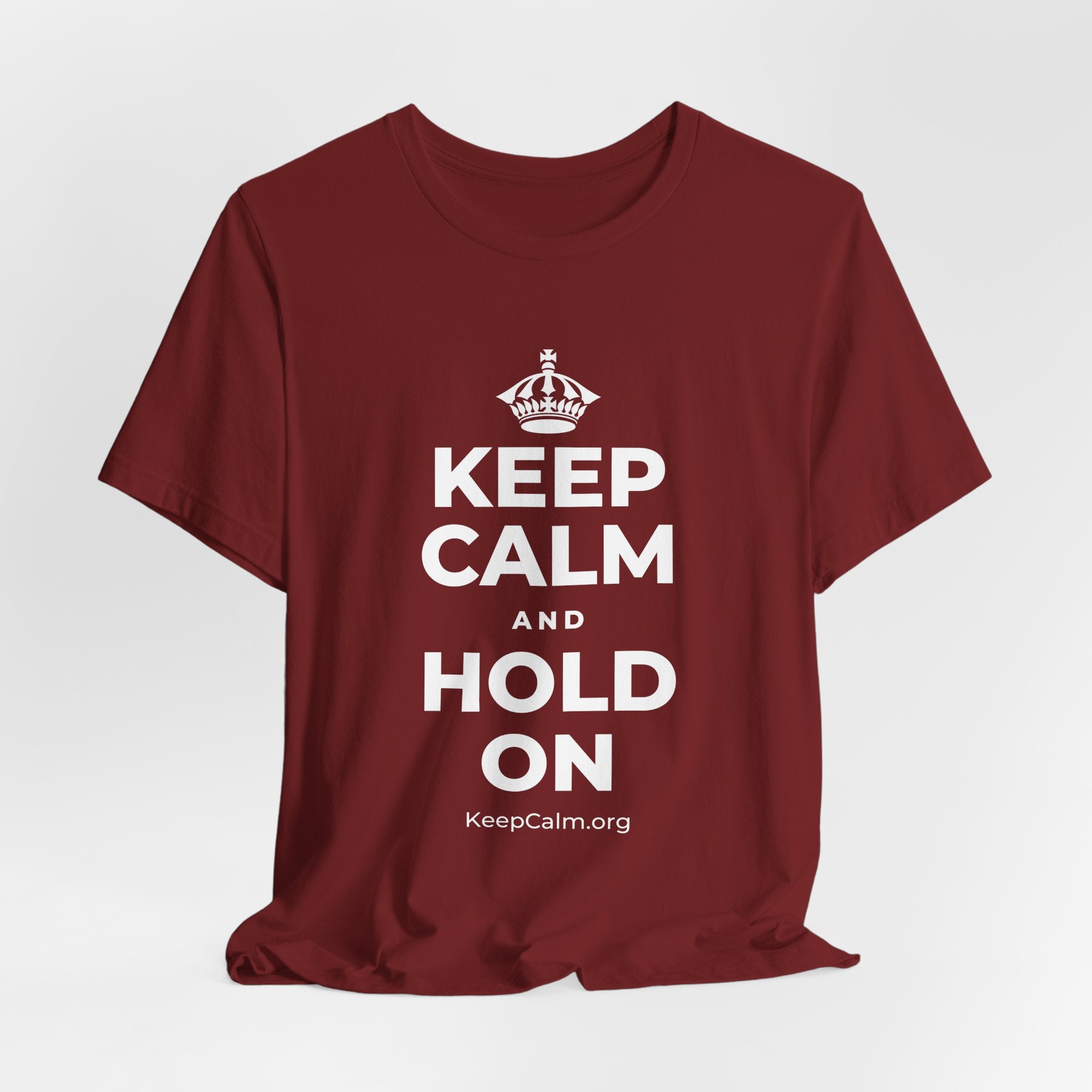 KEEP CALM AND HOLD ON T-Shirt (Baby Blue–Silver)