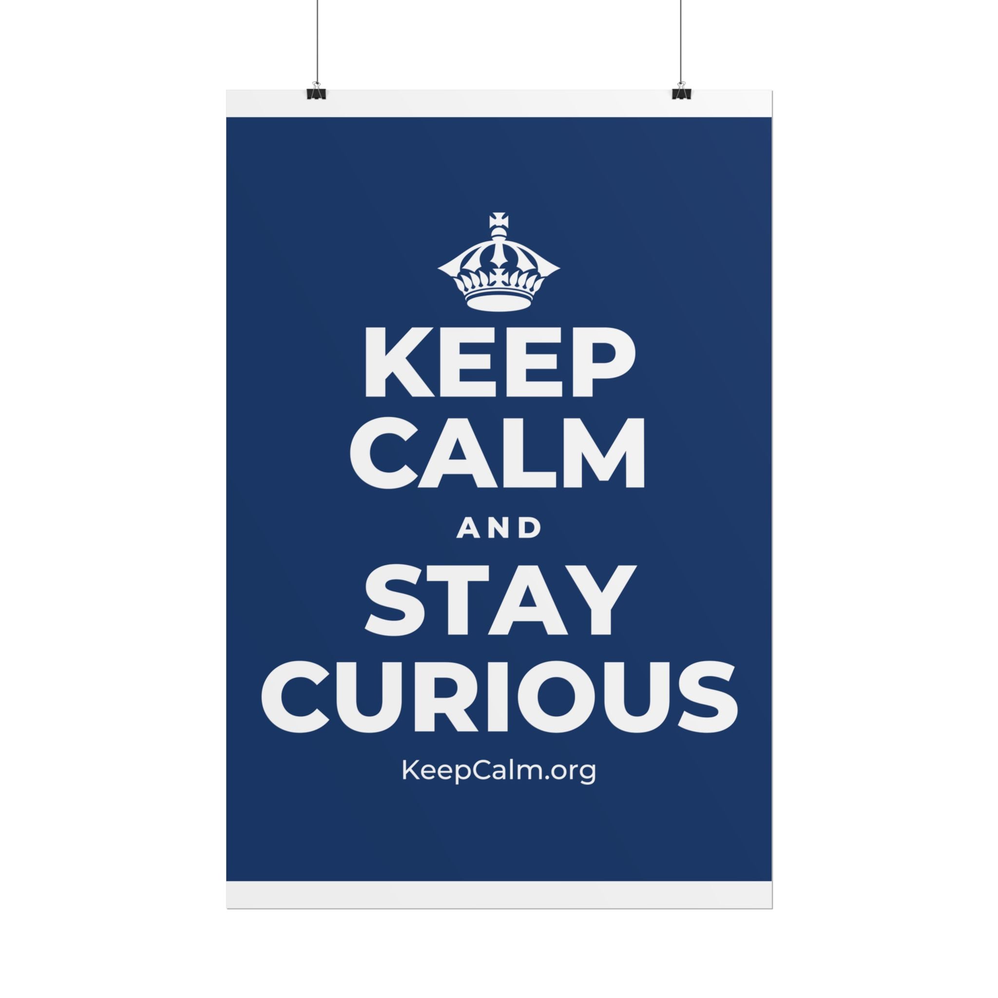 KEEP CALM AND STAY CURIOUS Poster