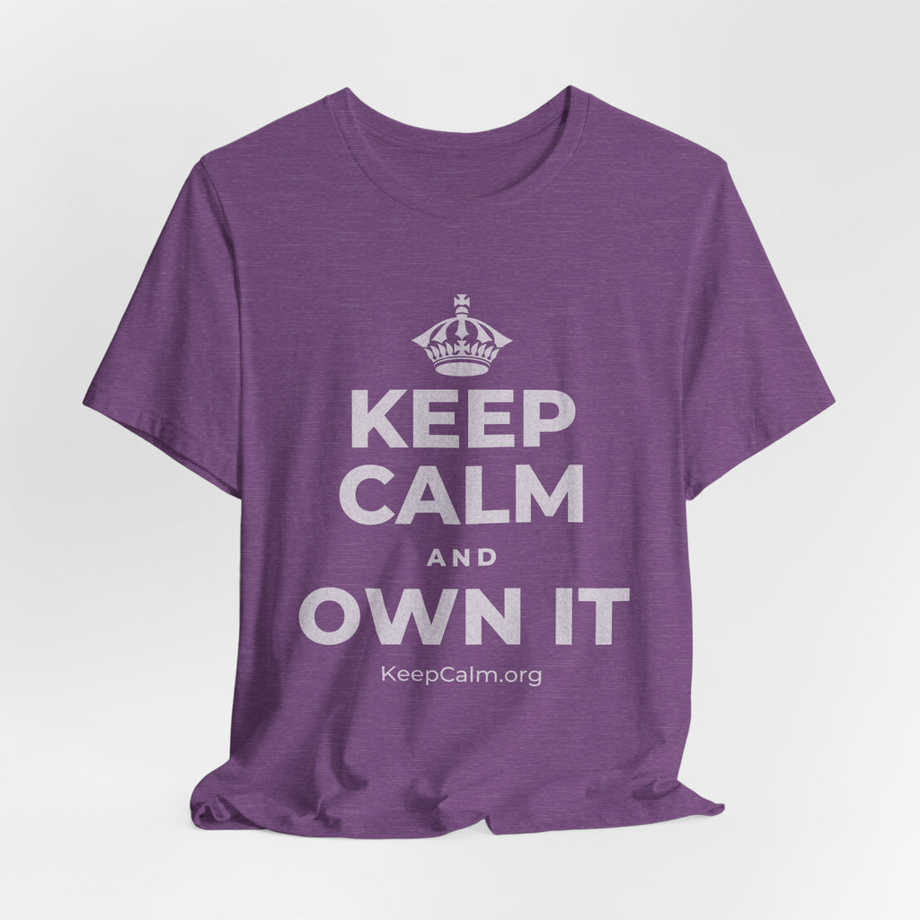 KEEP CALM AND OWN IT T-Shirt (Baby Blue–Silver)