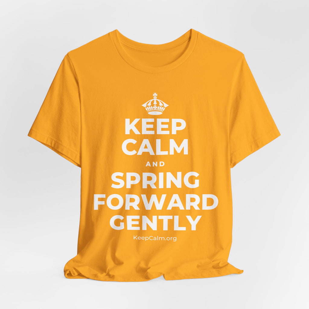 KEEP CALM AND SPRING FORWARD GENTLY T-Shirt (Baby Blue–Silver)